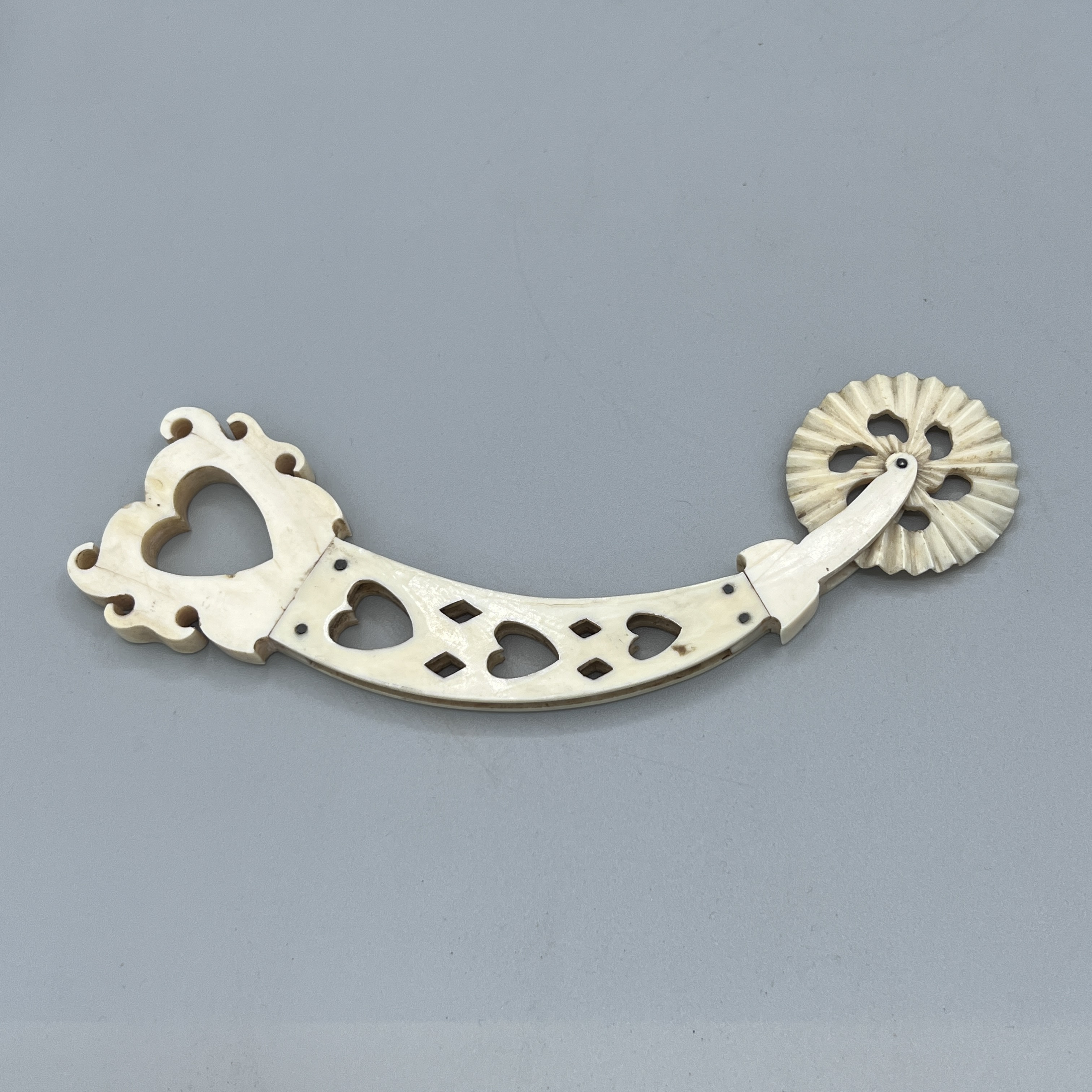 2023/01/06, photographed in Collection Storage for database