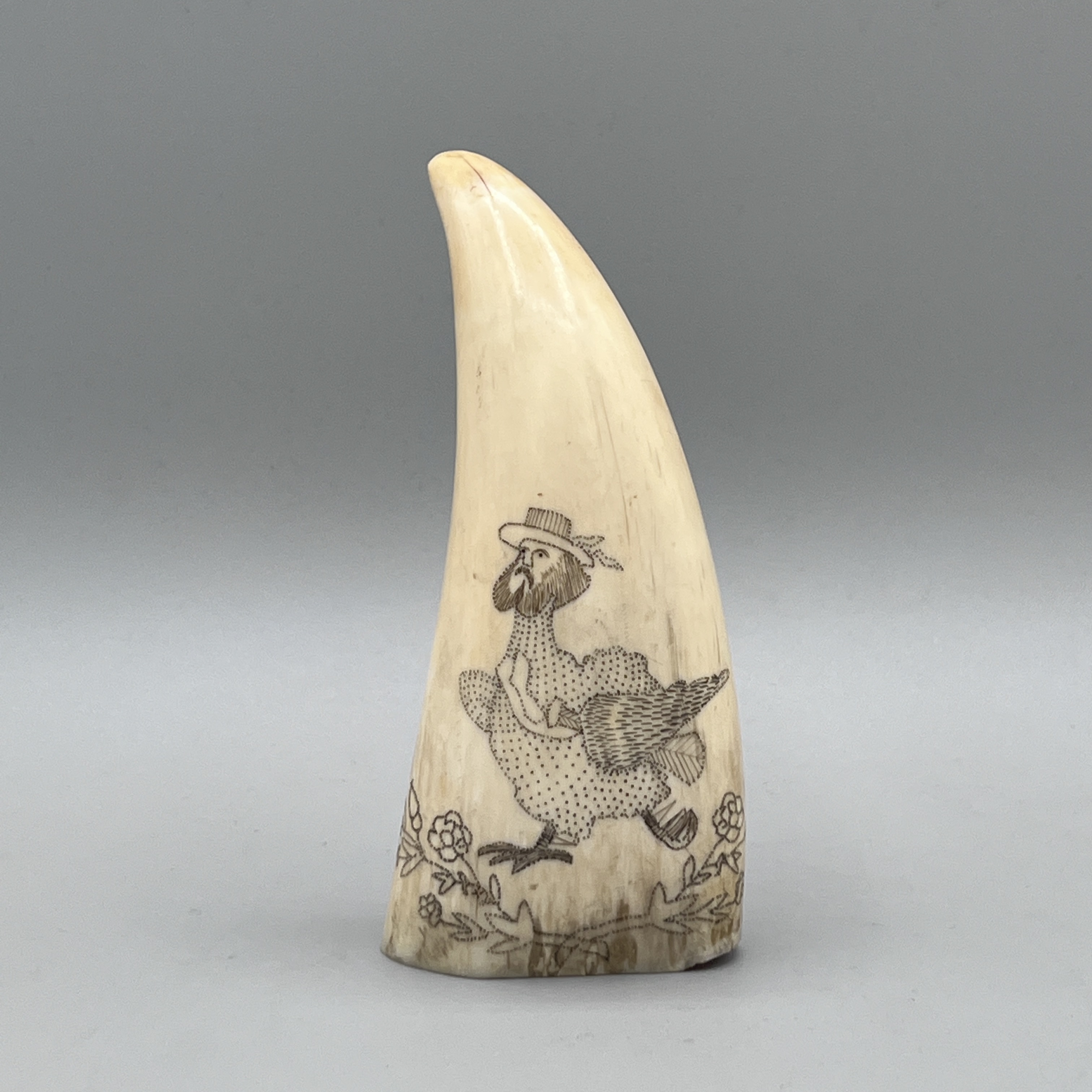 2023/01/06, photographed in Collection Storage for database