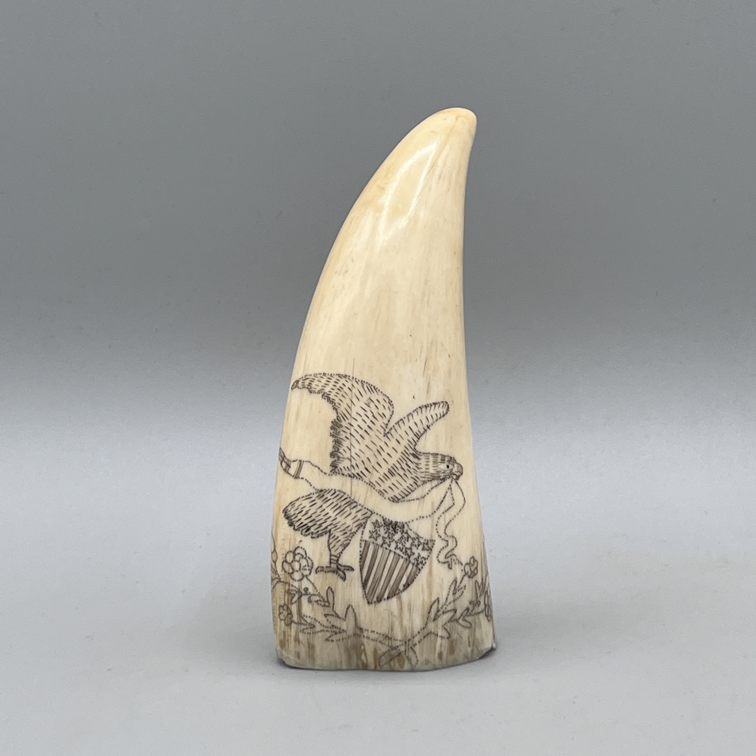 2023/01/06, photographed in Collection Storage for database