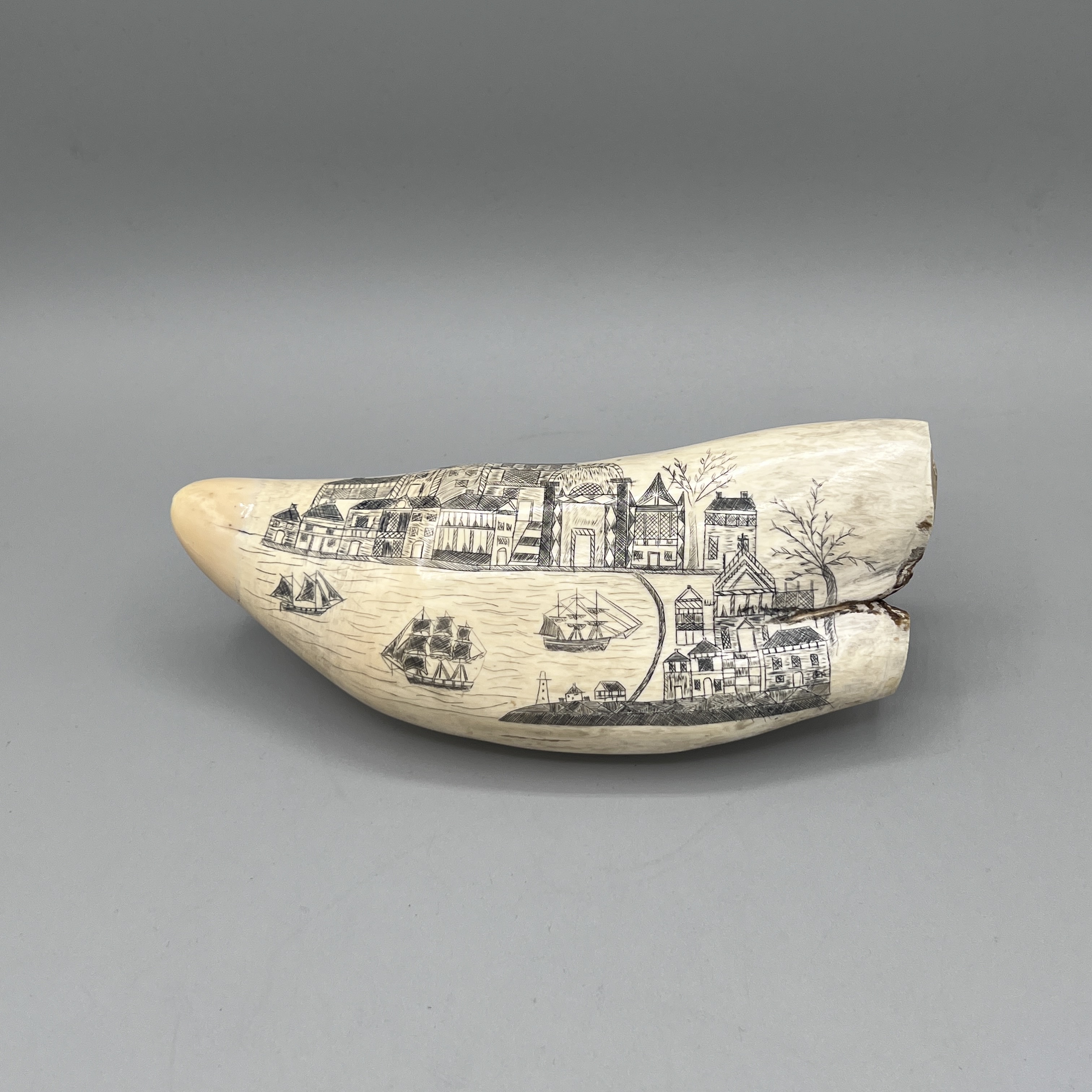 2023/01/06, photographed in Collection Storage for database