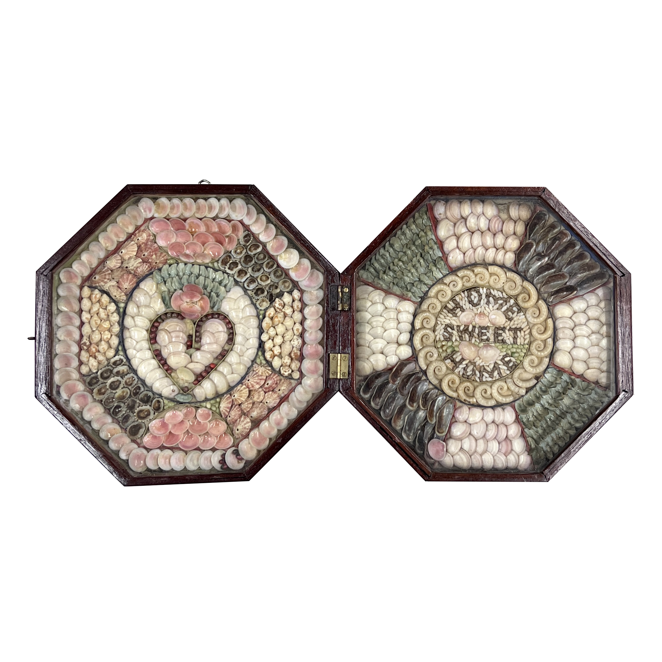 Image 2023/01/11, edited onto white background for database