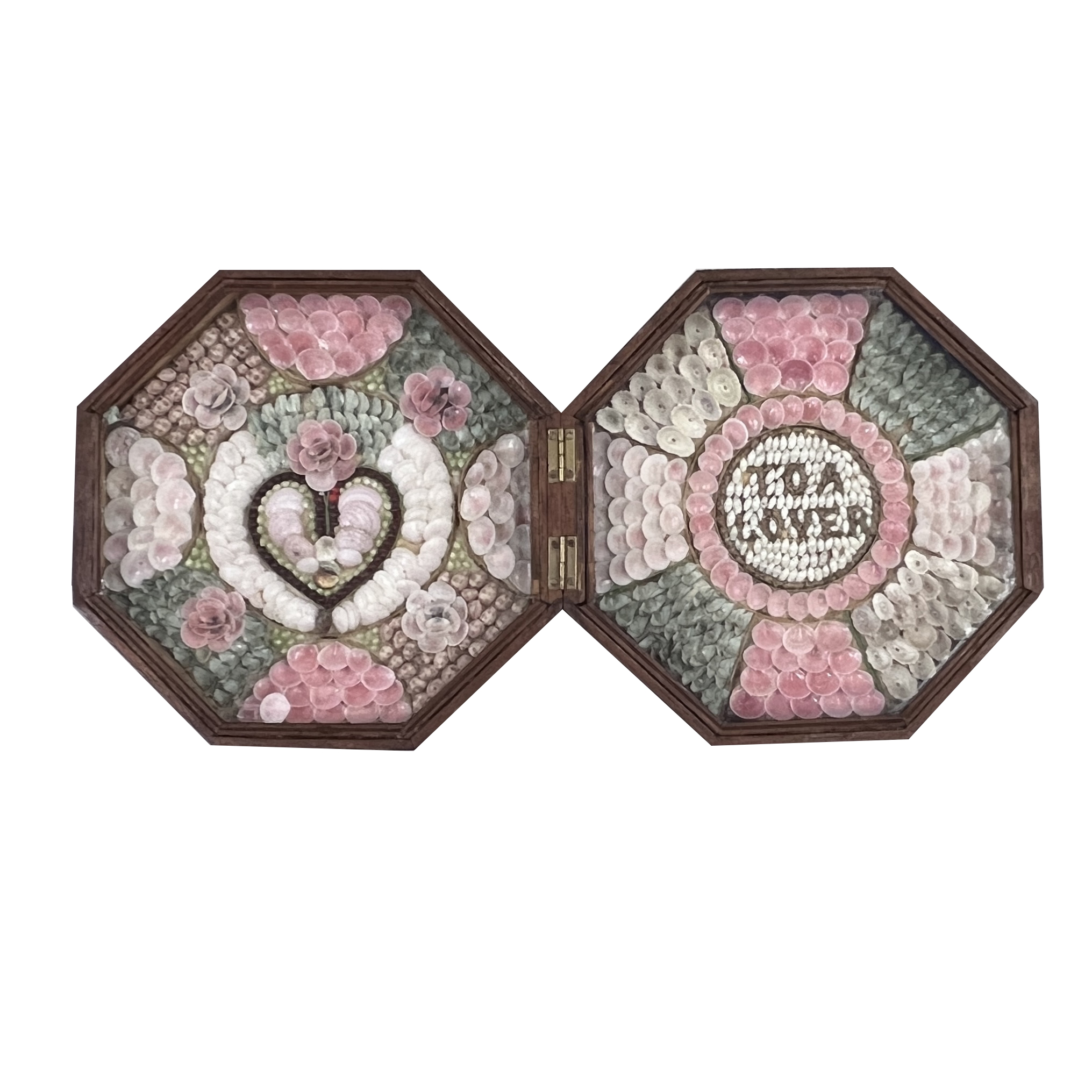 Image 2023/01/11, edited onto white background for database