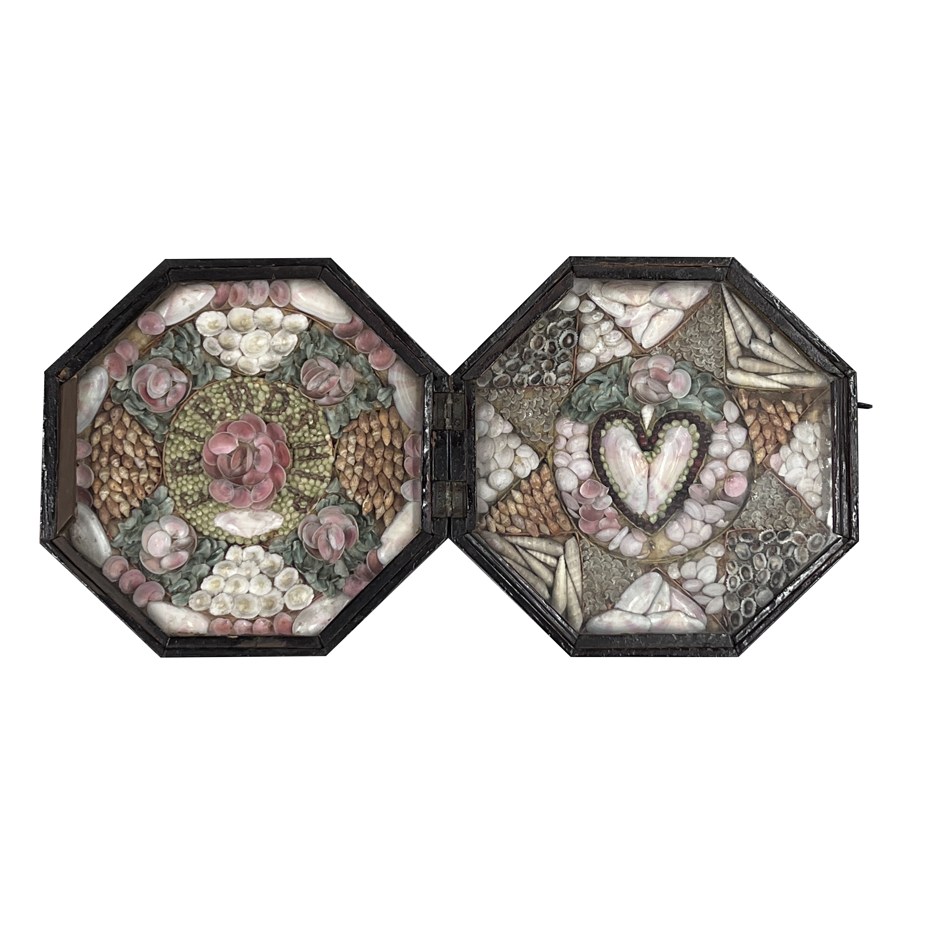 Image 2023/01/11, edited onto white background for database