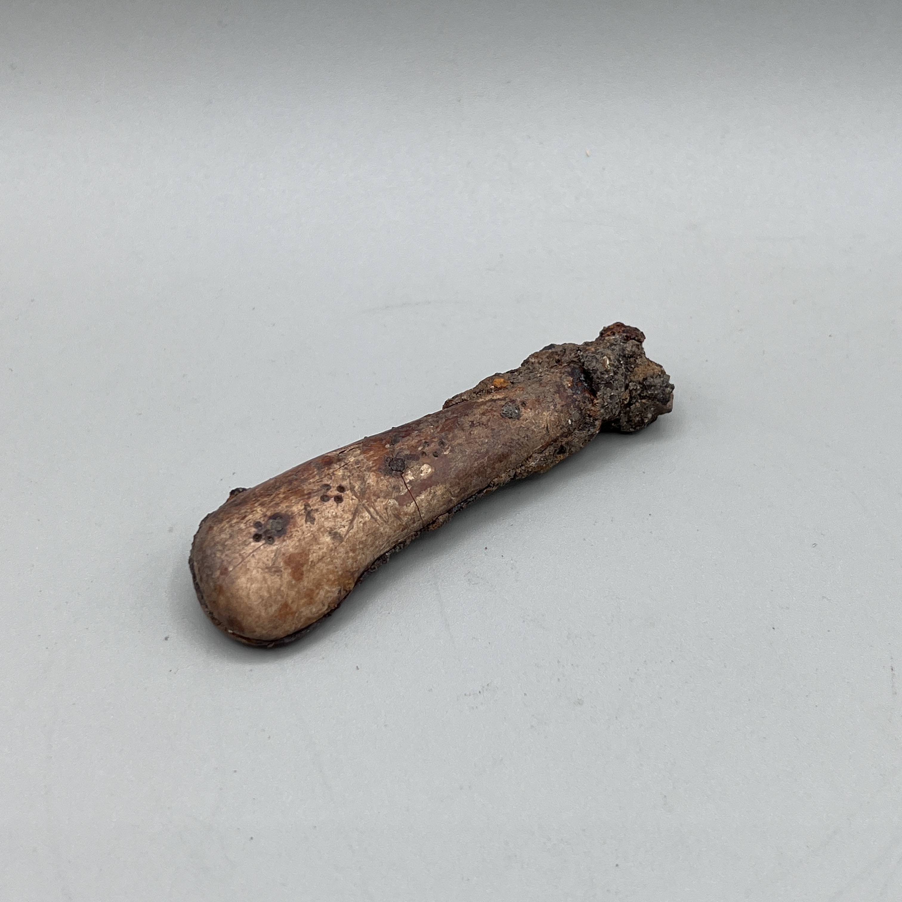 2023/01/13, photographed in Collection Storage for database and exhibition purposes