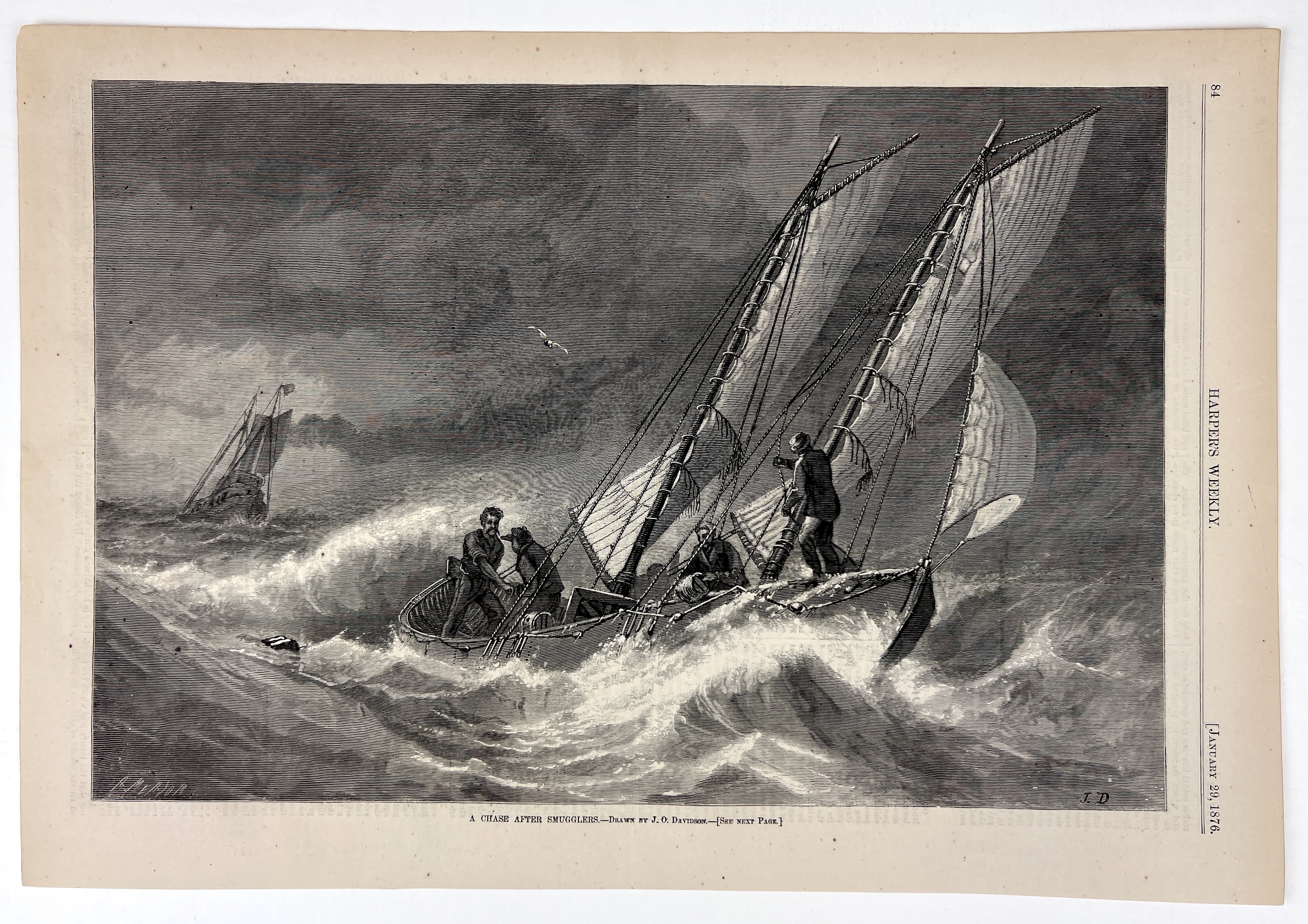 2022/12/14 object photographed in collection storage for database