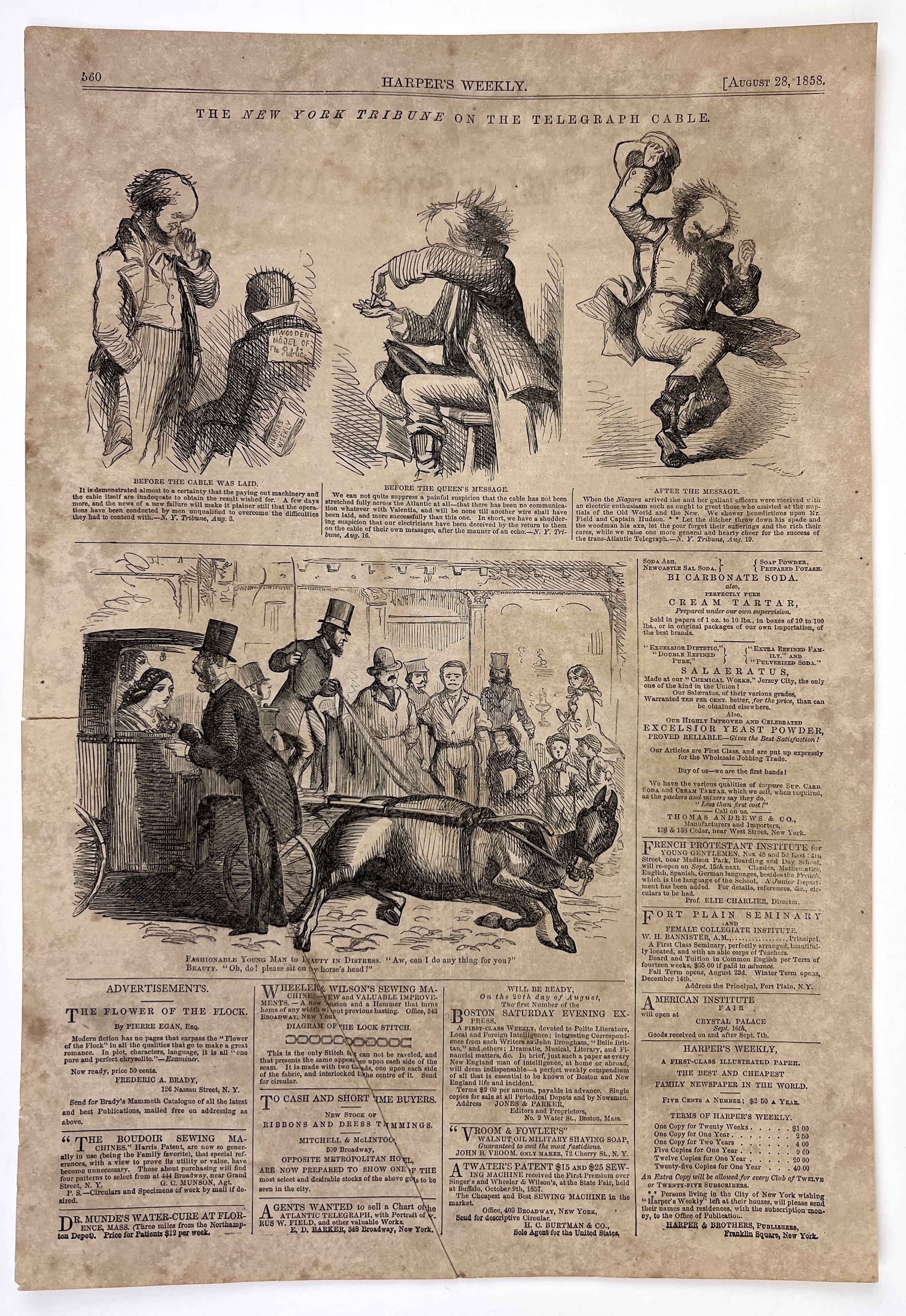 2022/12/08, photographed in Collection Storage for database