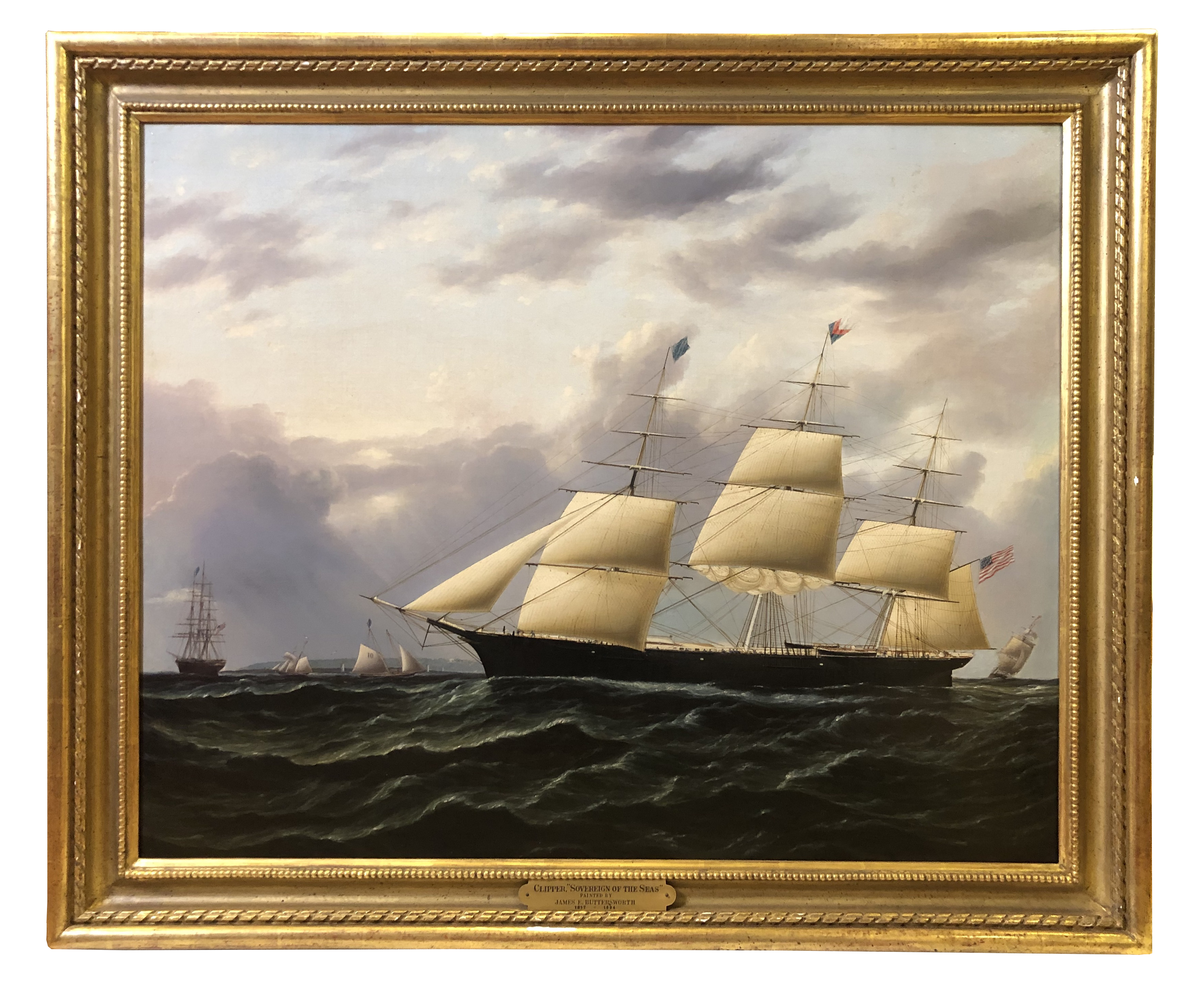 Image 2022/08/01, edited onto white background for database