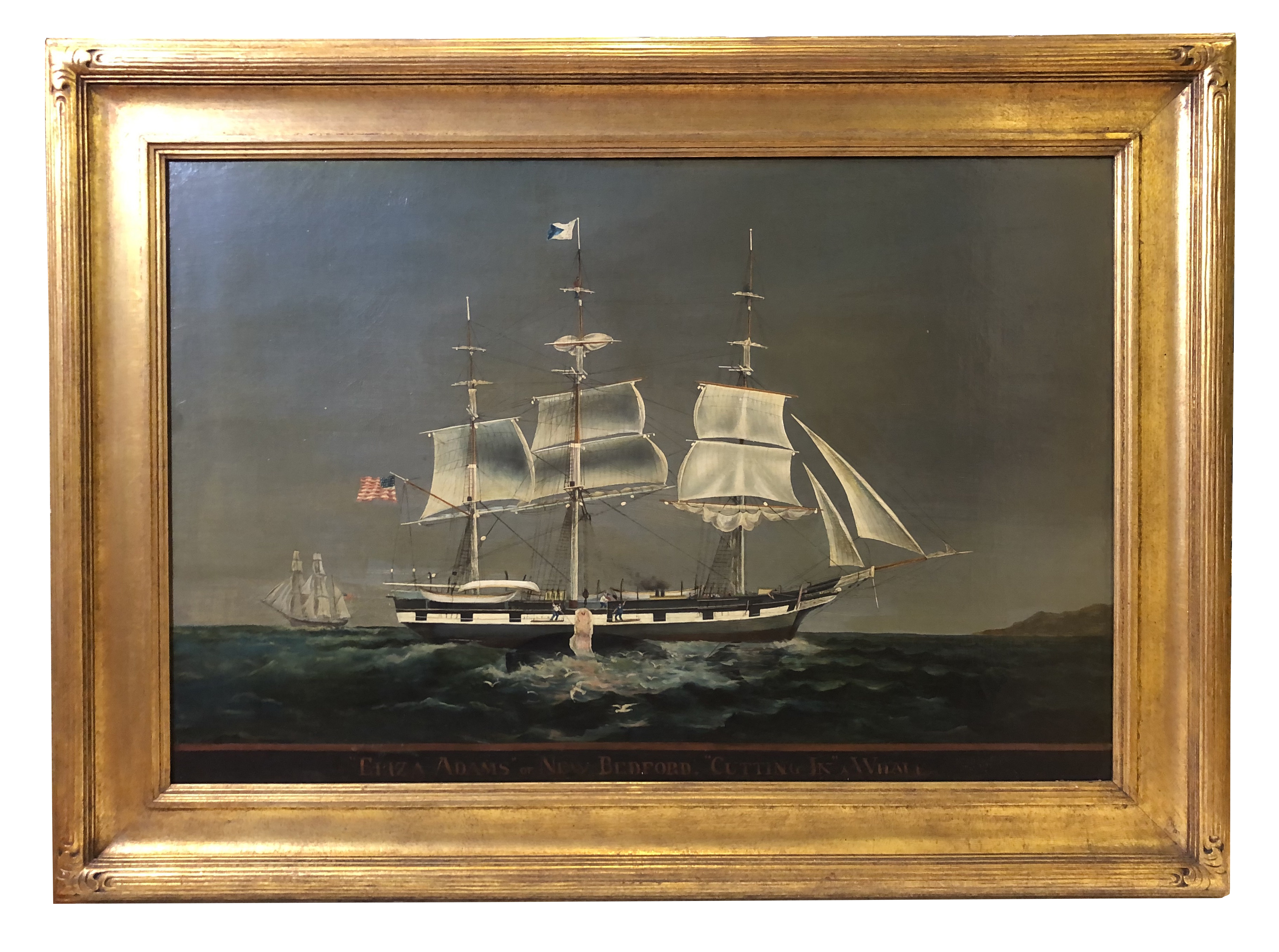 Image 2022/08/02, edited onto white background for Collections Online Portal