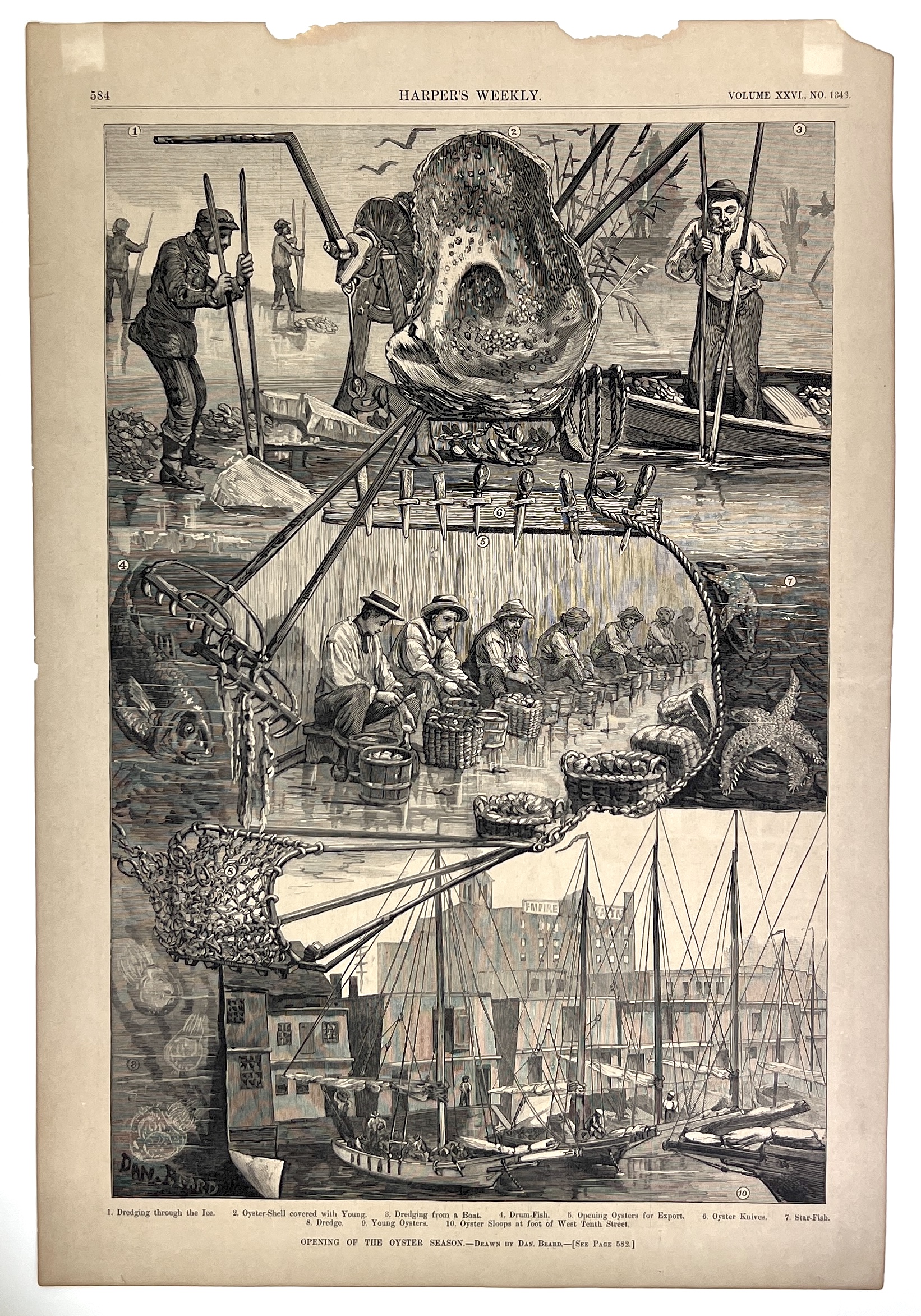 2023/04/25 object photographed in collection storage for database