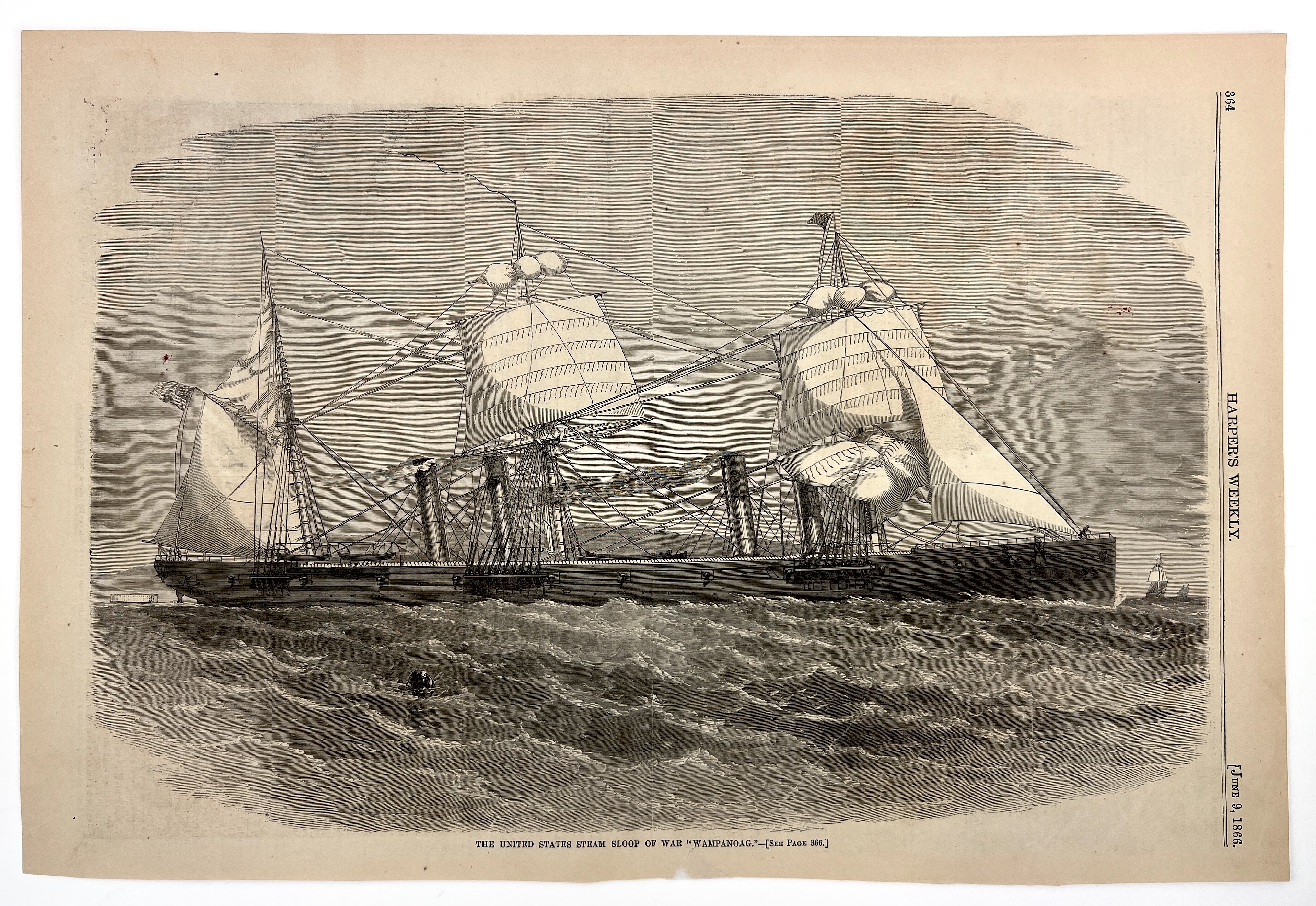 2023/04/27 object photographed in collection storage for database