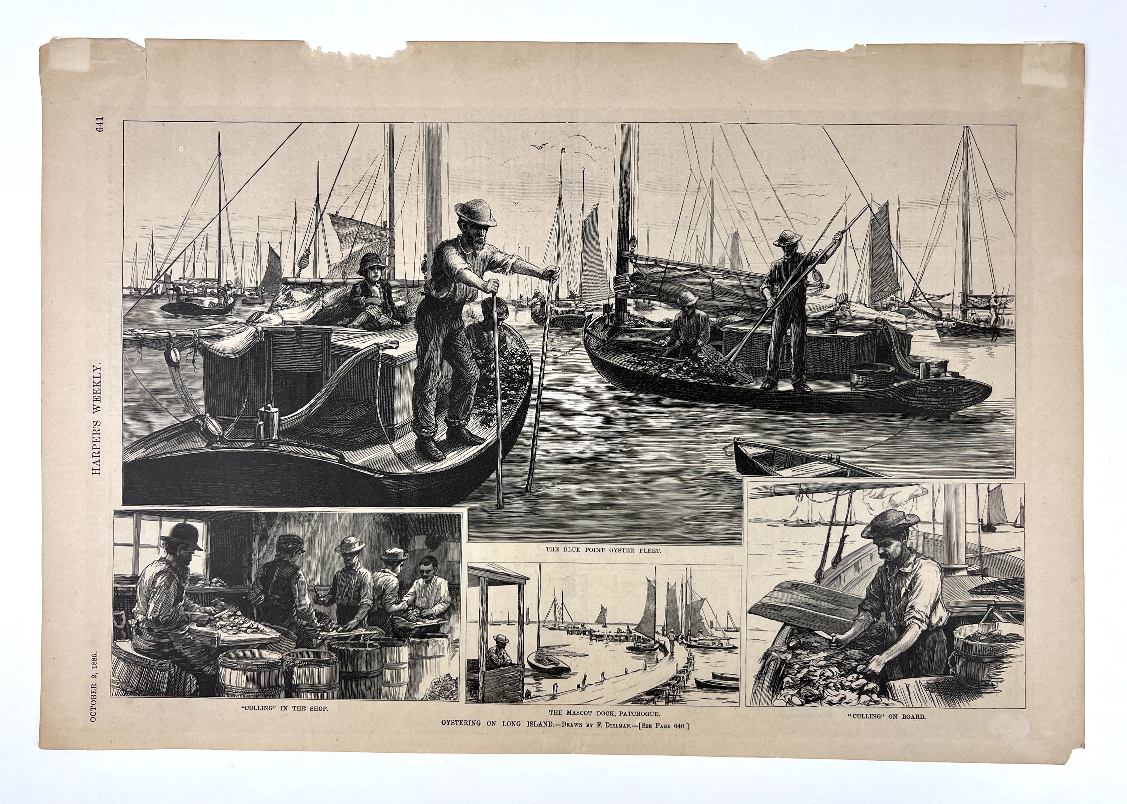 Image 2022/12/15, color corrected for Collections Online Portal