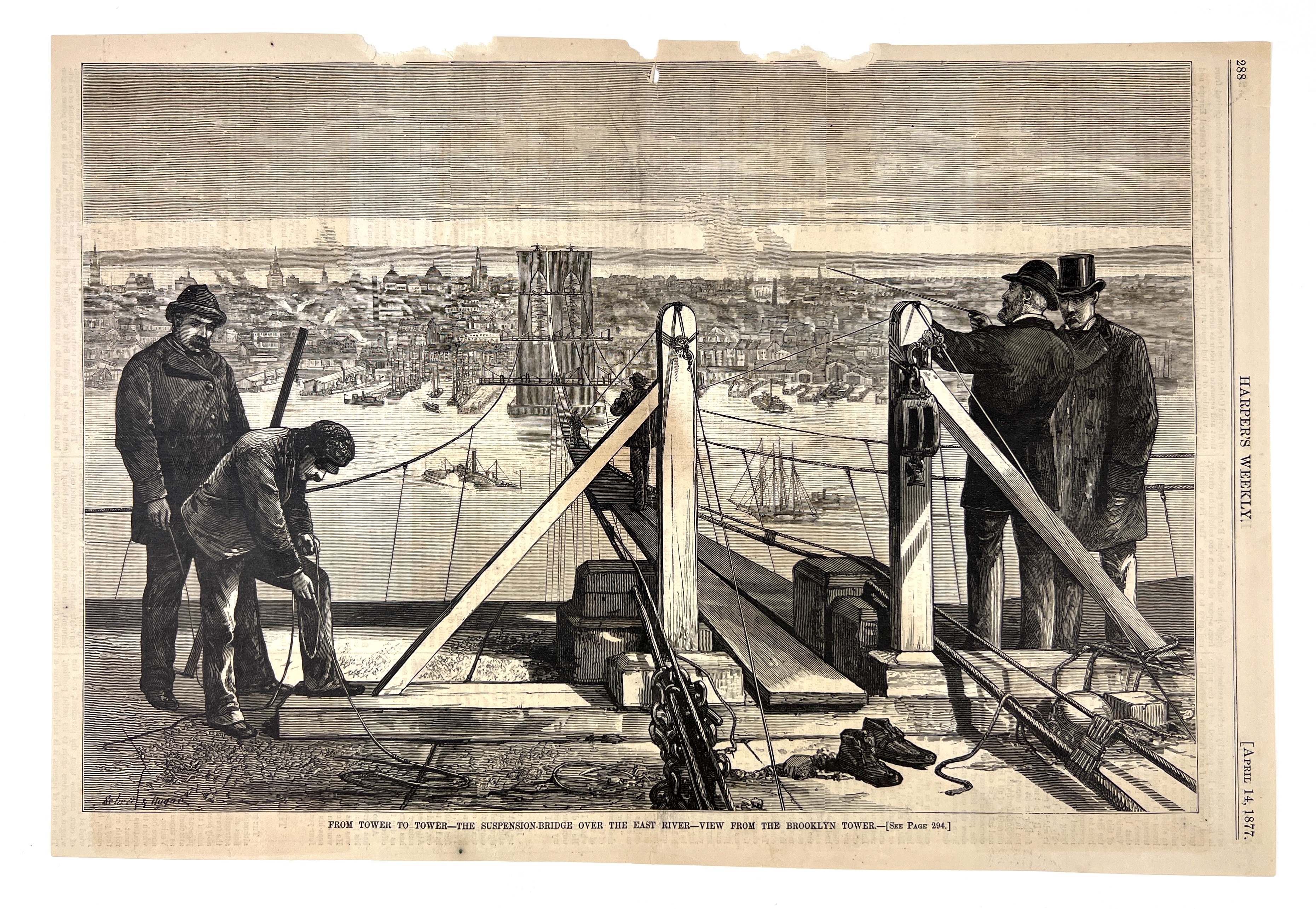 2023/05/09 image color corrected in office from 2022/12/15 for social media purposes