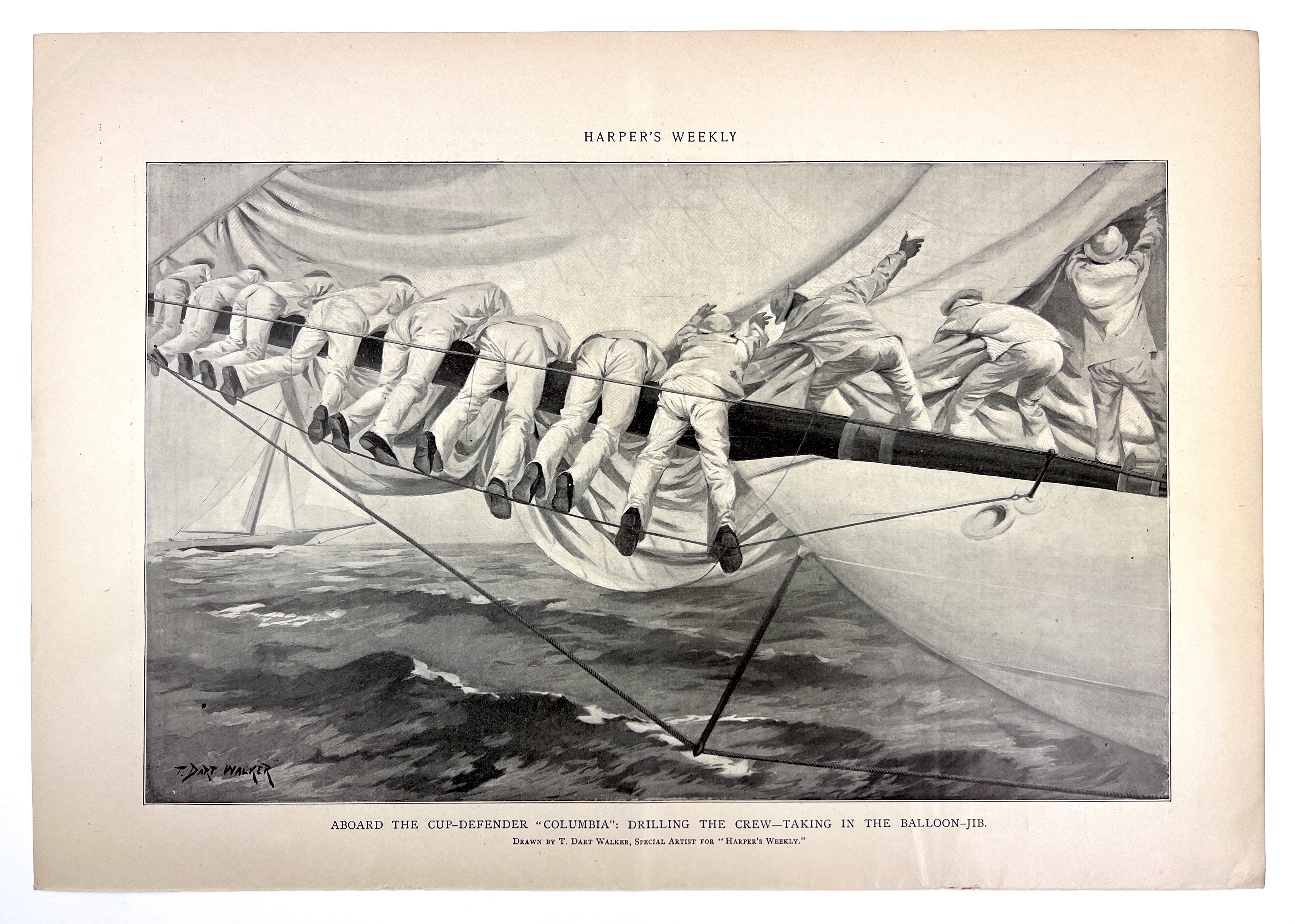 2023/05/11 image color corrected in office from 2023/04/28 for social media purposes