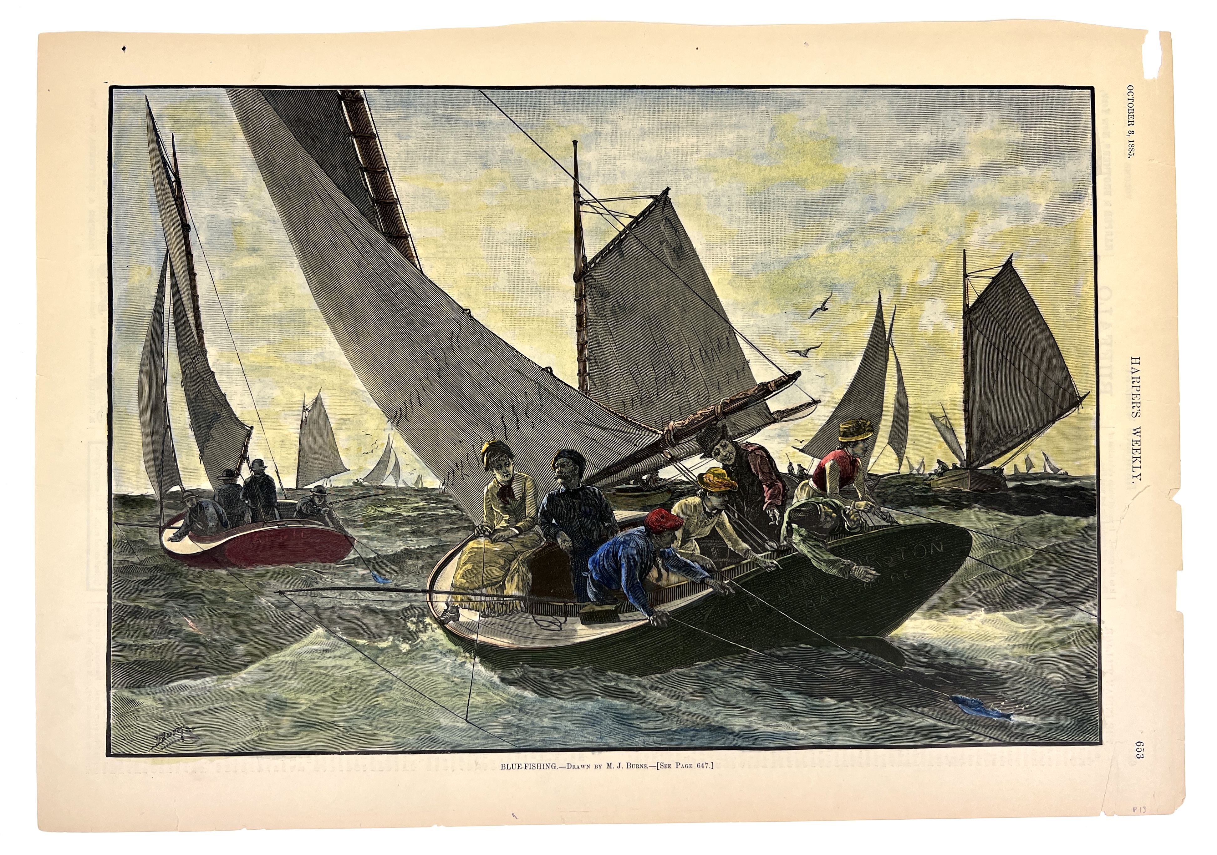 2023/05/11 object photographed in collection storage for database and social media purposes