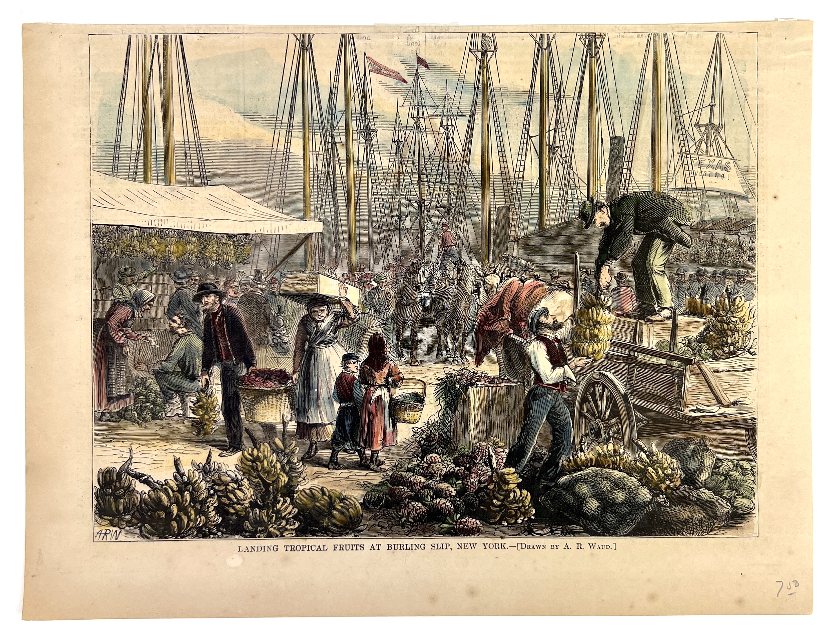 2023/05/11 object photographed in collection storage for database and social media purposes