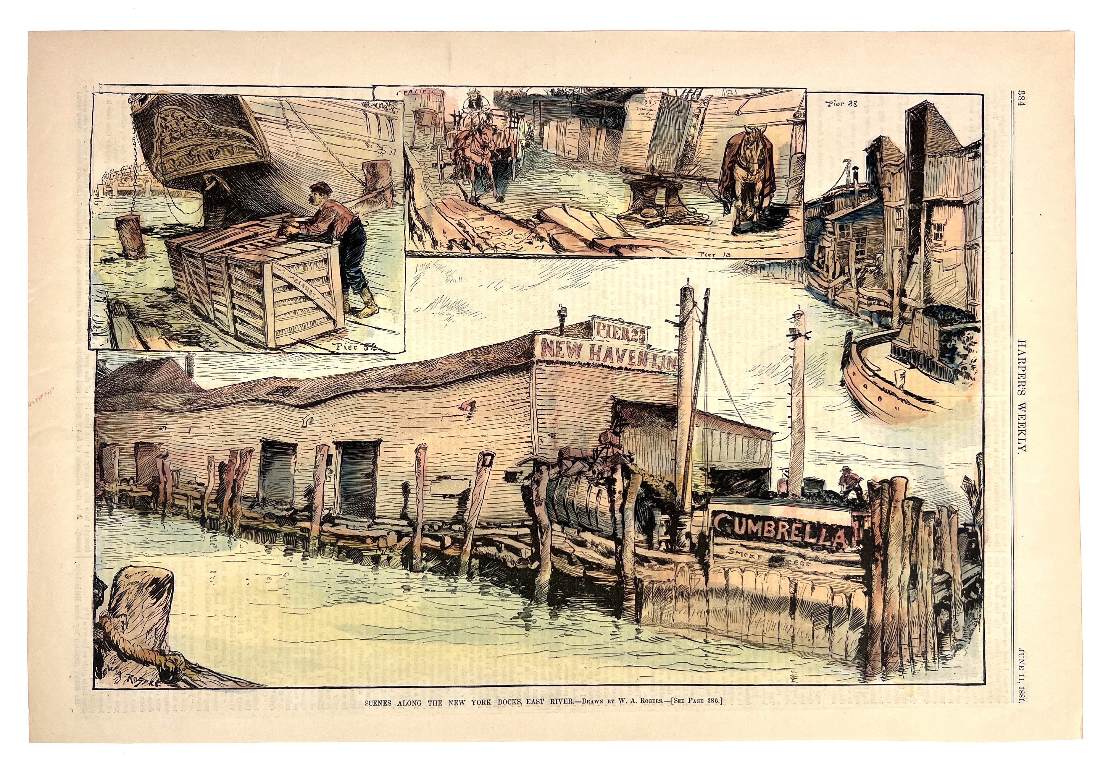 2023/05/11 object photographed in collection storage for database and social media purposes