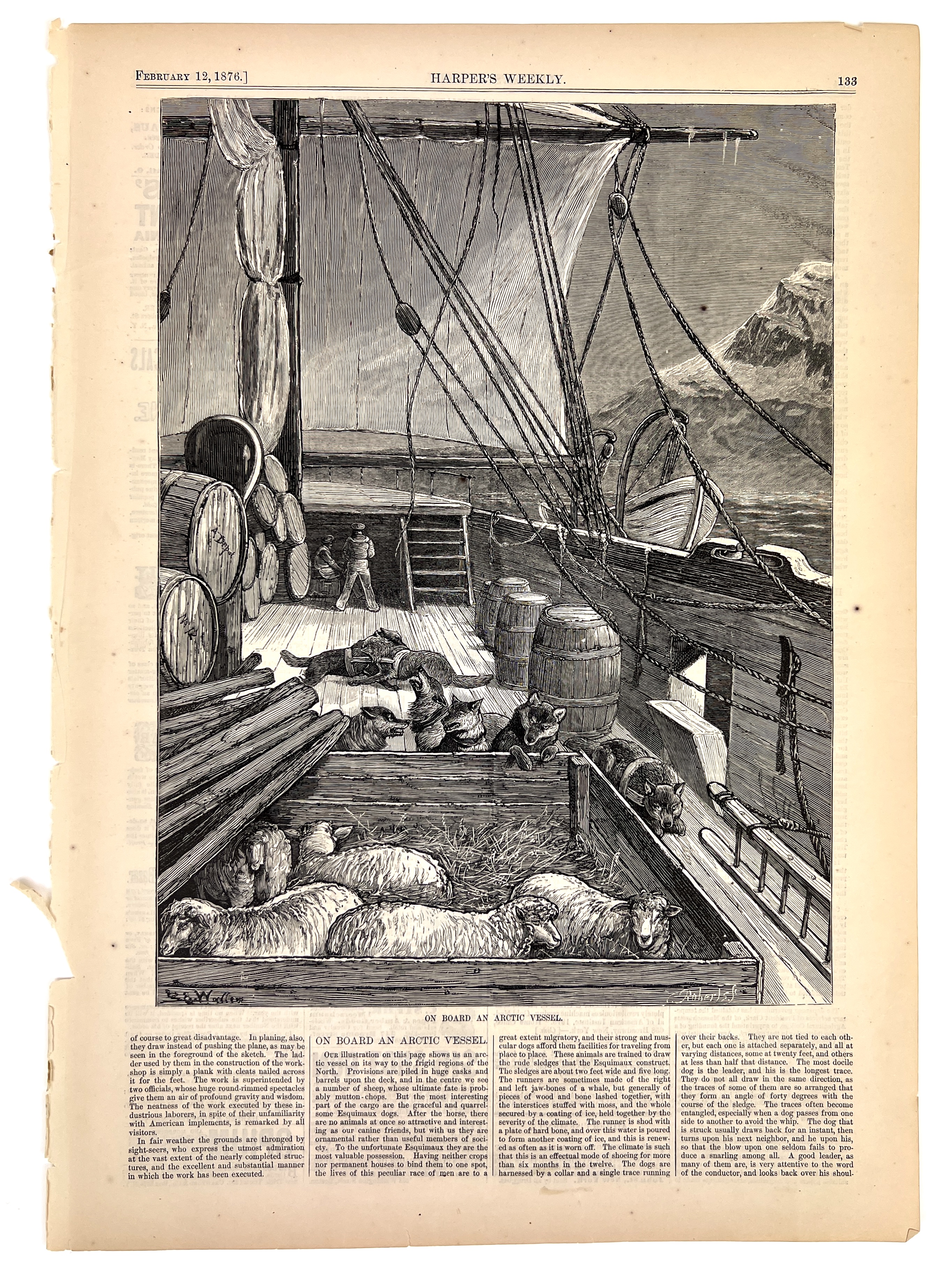 2023/05/11 object photographed in collection storage for database and social media purposes