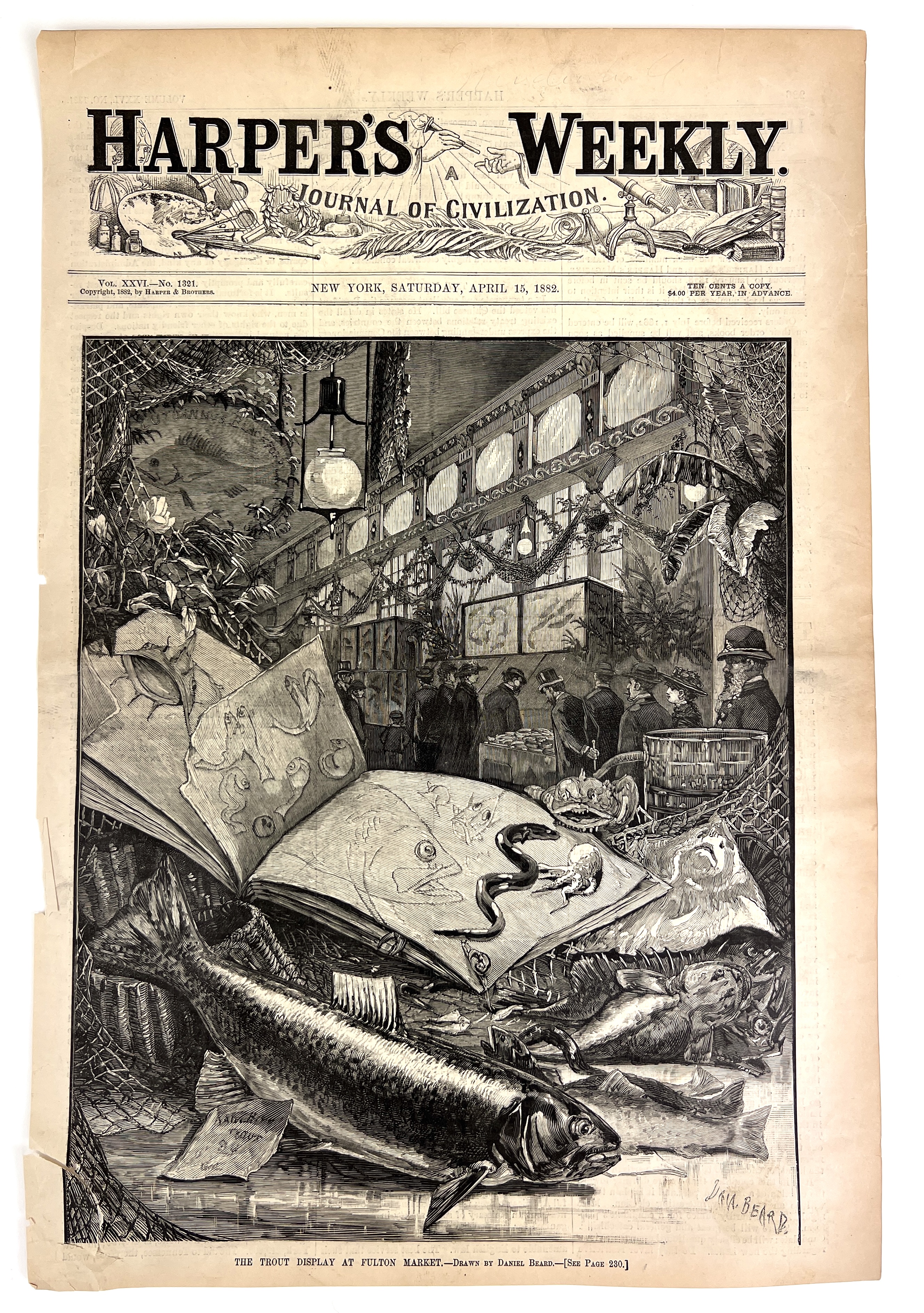 2023/05/11 object photographed in collection storage for database and social media purposes