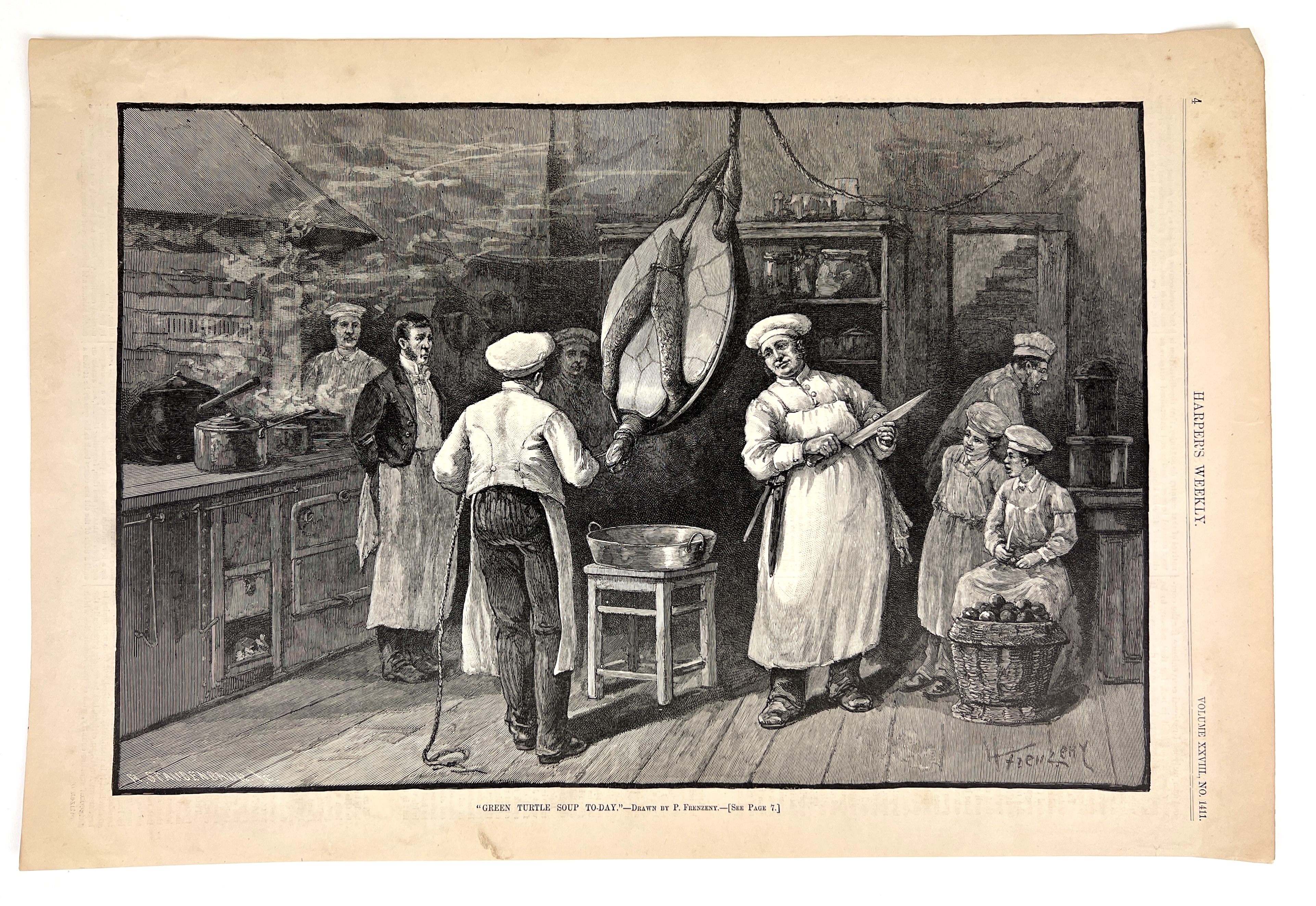 2023/05/11 object photographed in collection storage for database and social media purposes