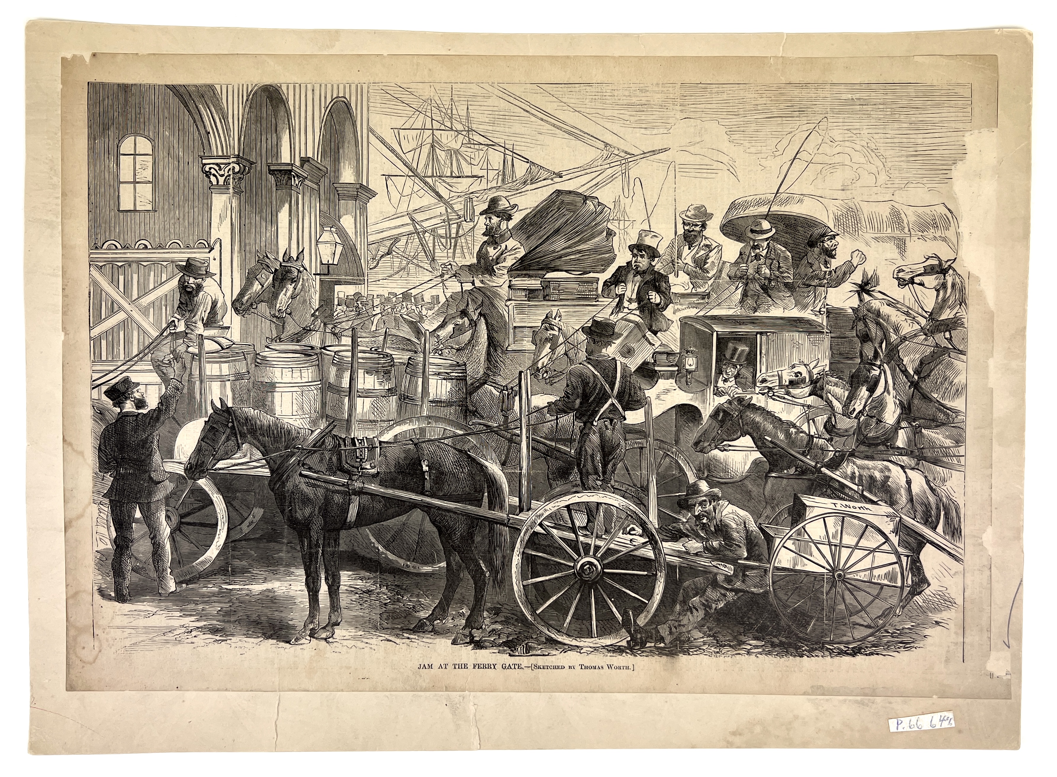 2023/05/16 object photographed in collection storage for database