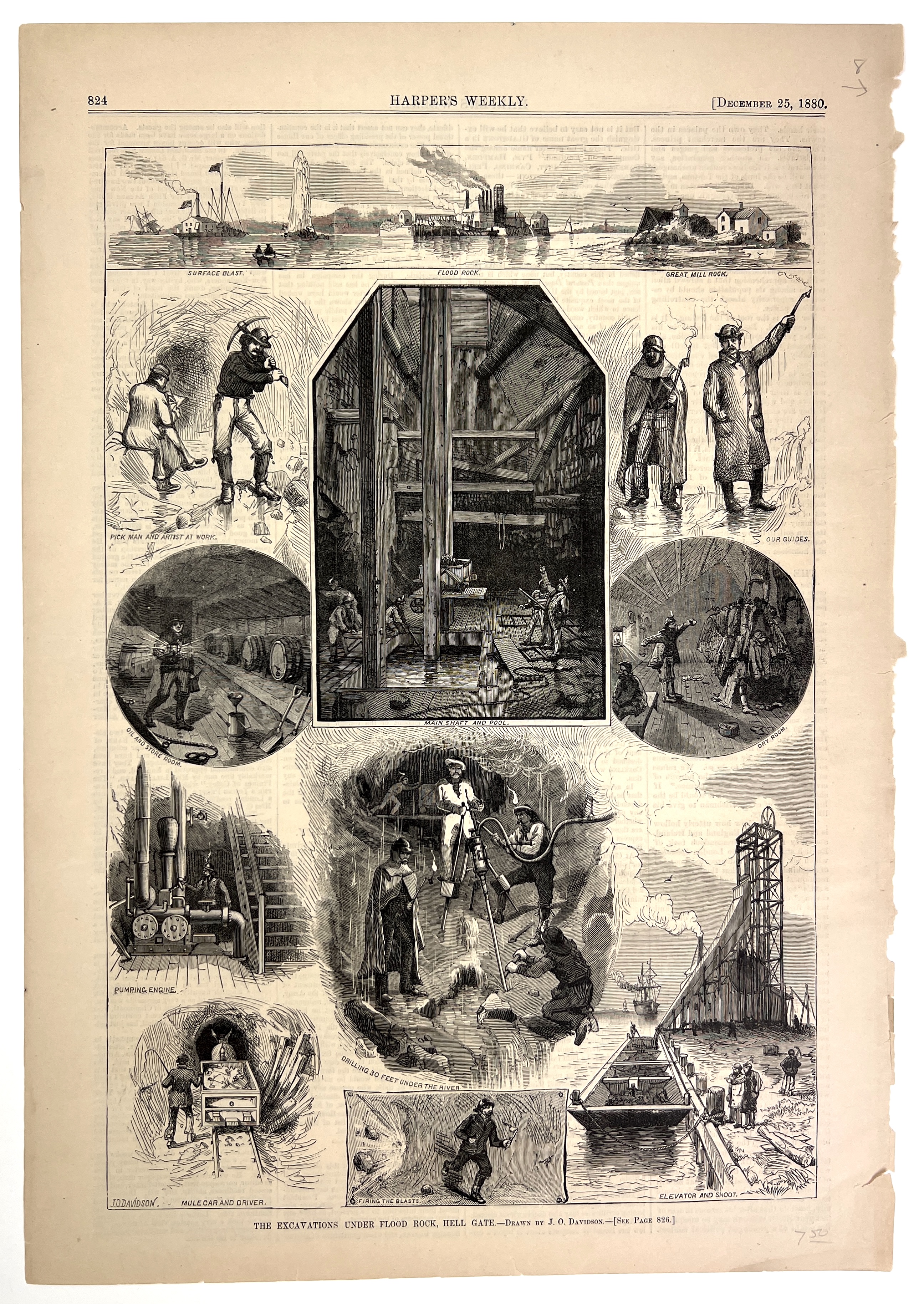 2023/05/17 image color corrected in office from 2023/04/26 for social media purposes