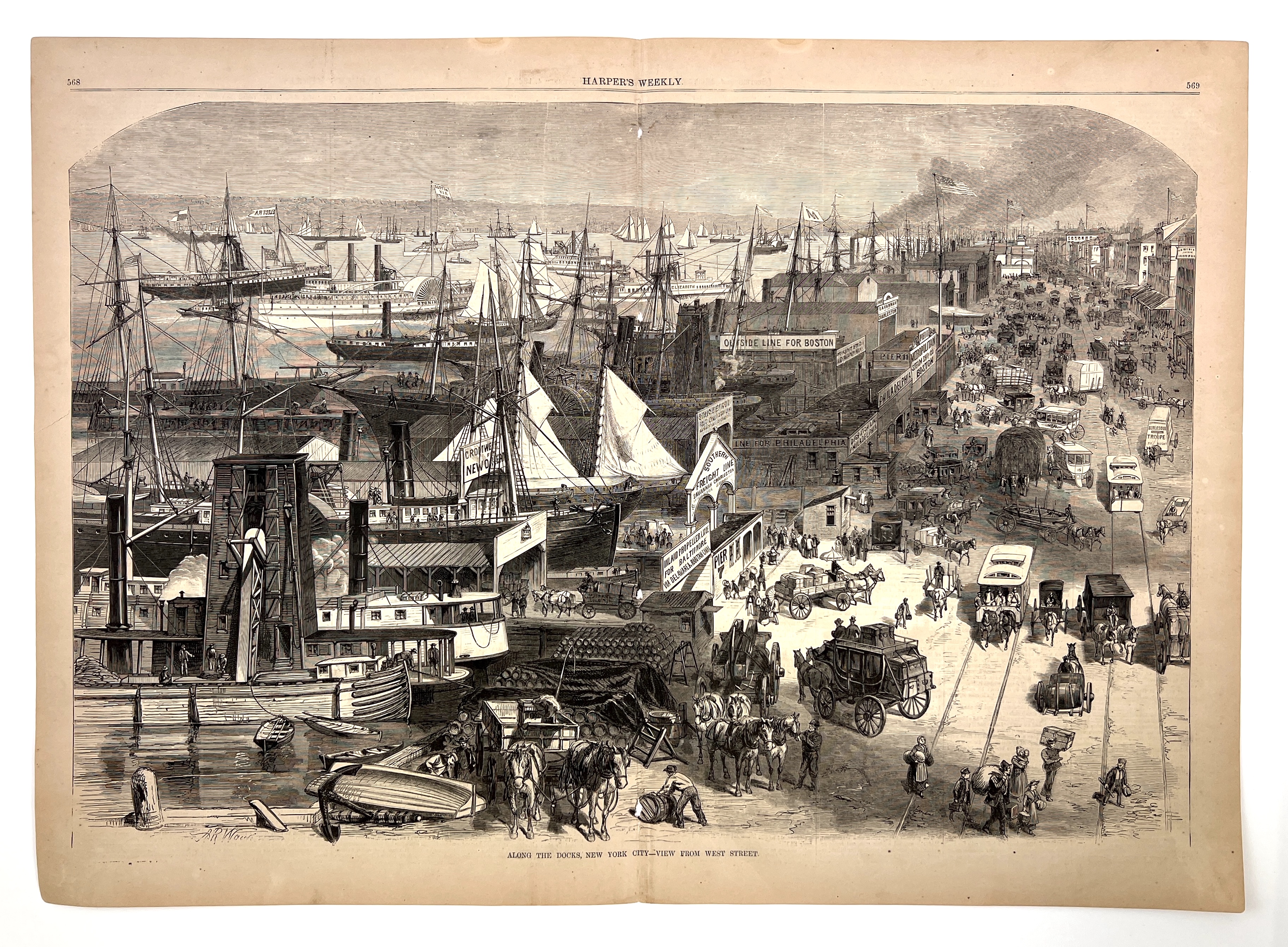 2023/05/17 image color corrected in office from 2023/04/27 for social media purposes