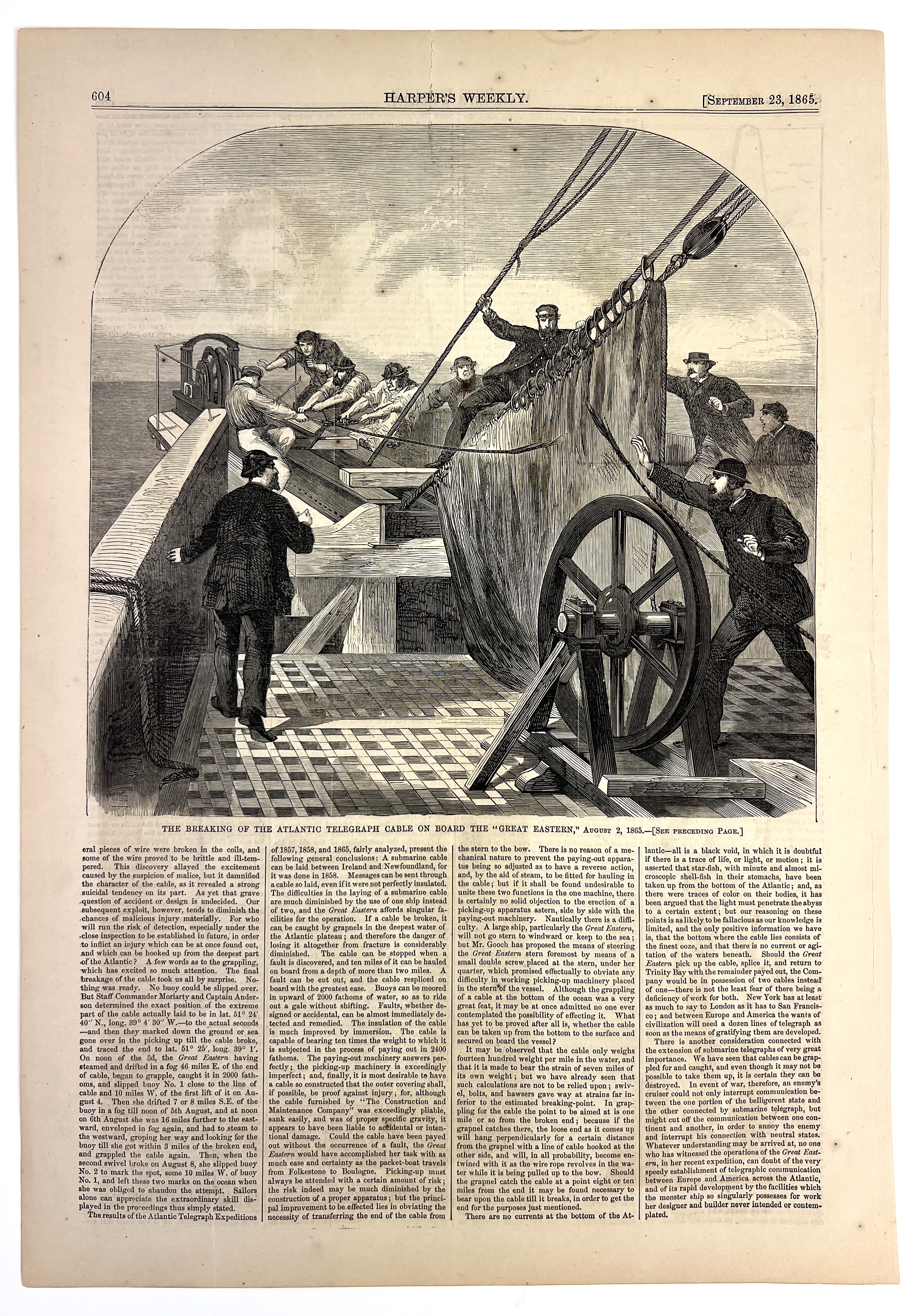 2023/05/22 object photographed in collection storage for database