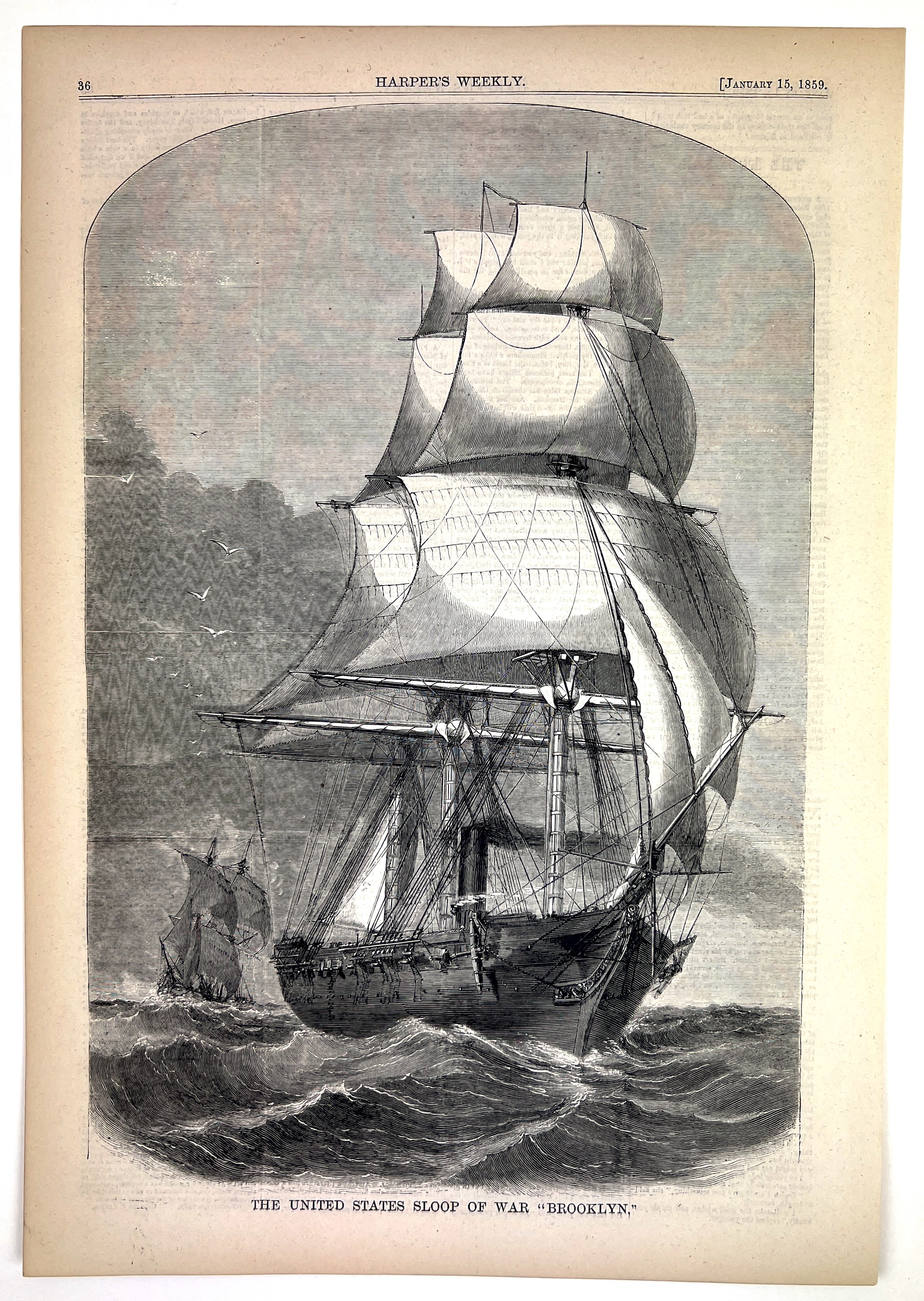 2023/05/22 object photographed in collection storage for database