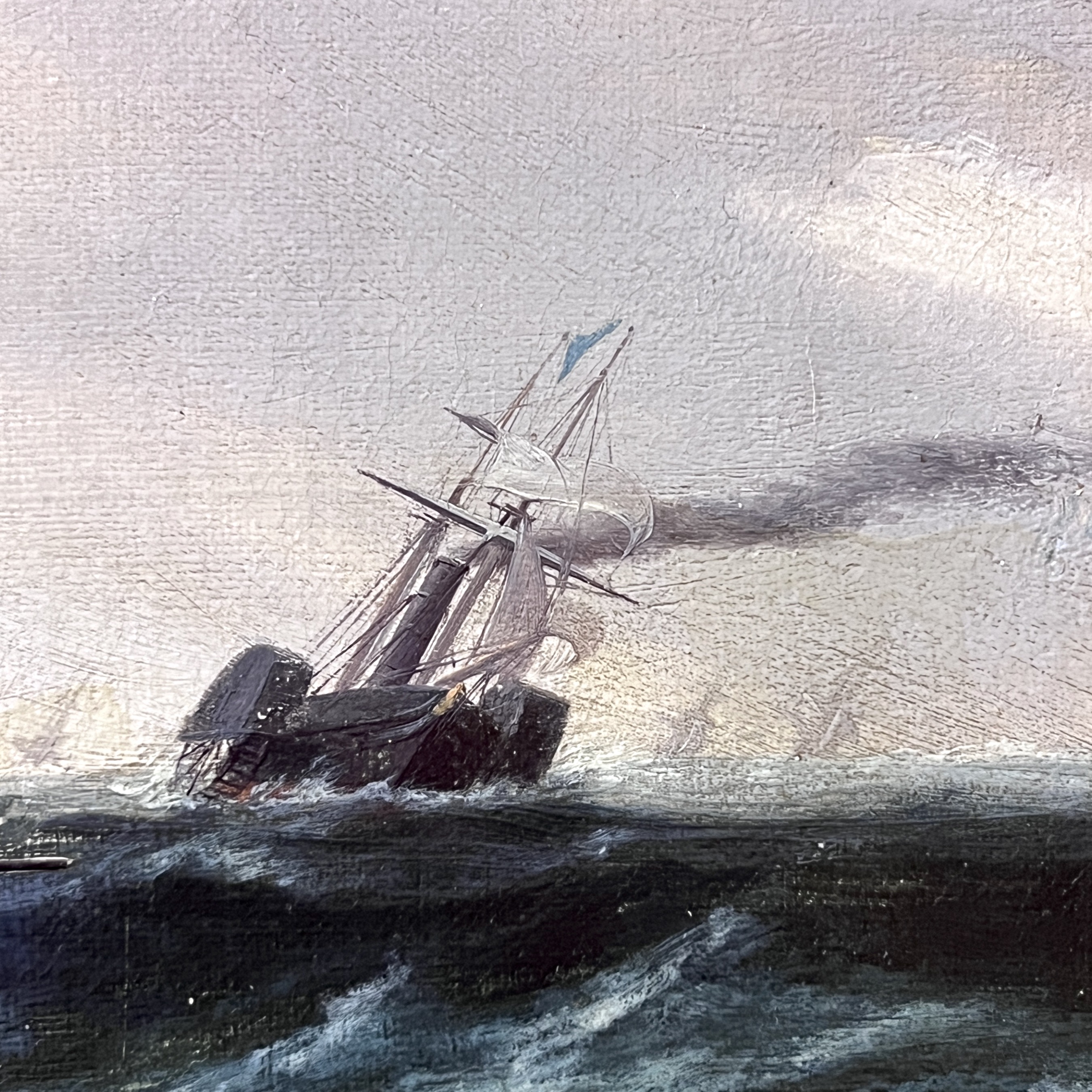 2023/06/05 object photographed in collection storage for database and social media purposes