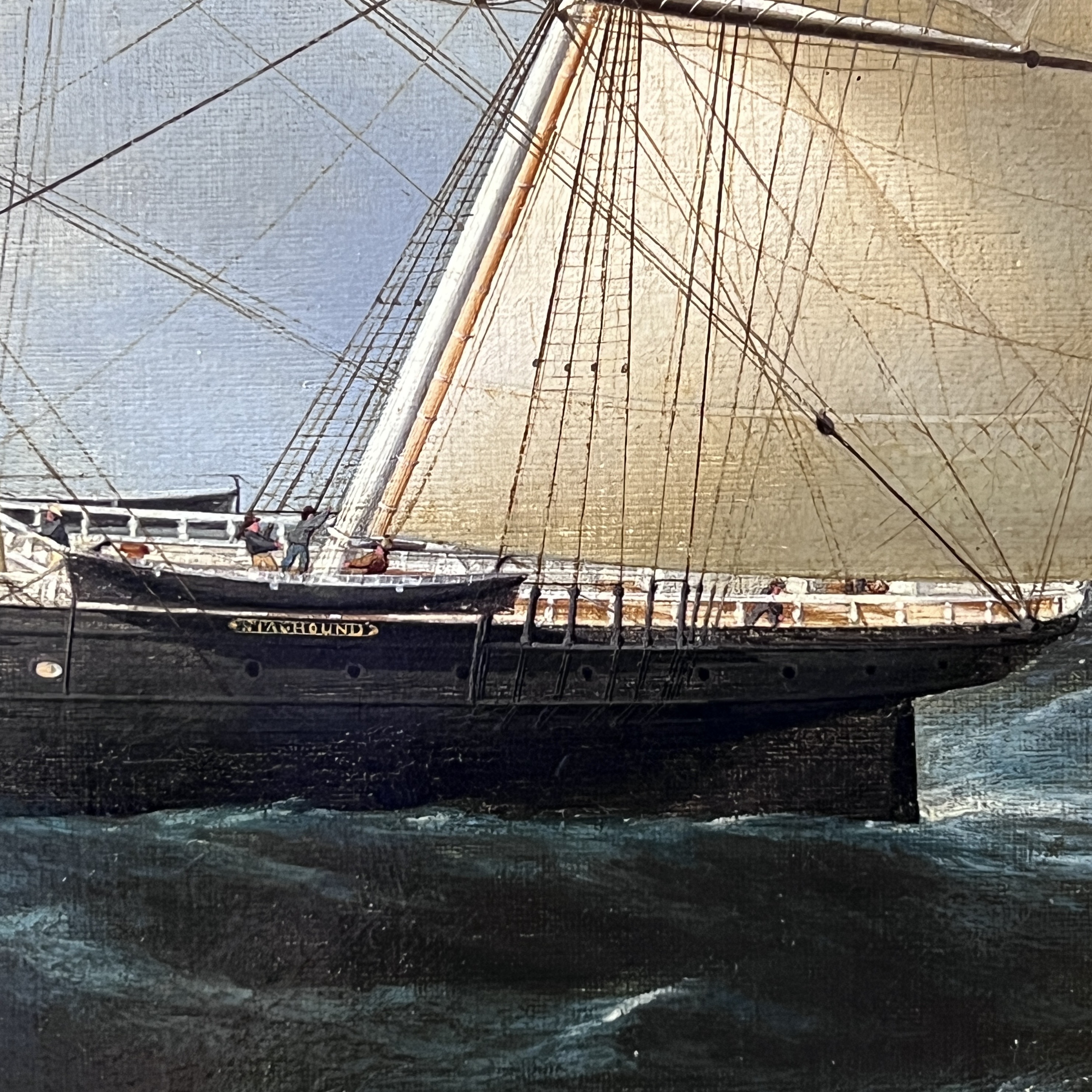 2023/06/05 object photographed in collection storage for database and social media purposes