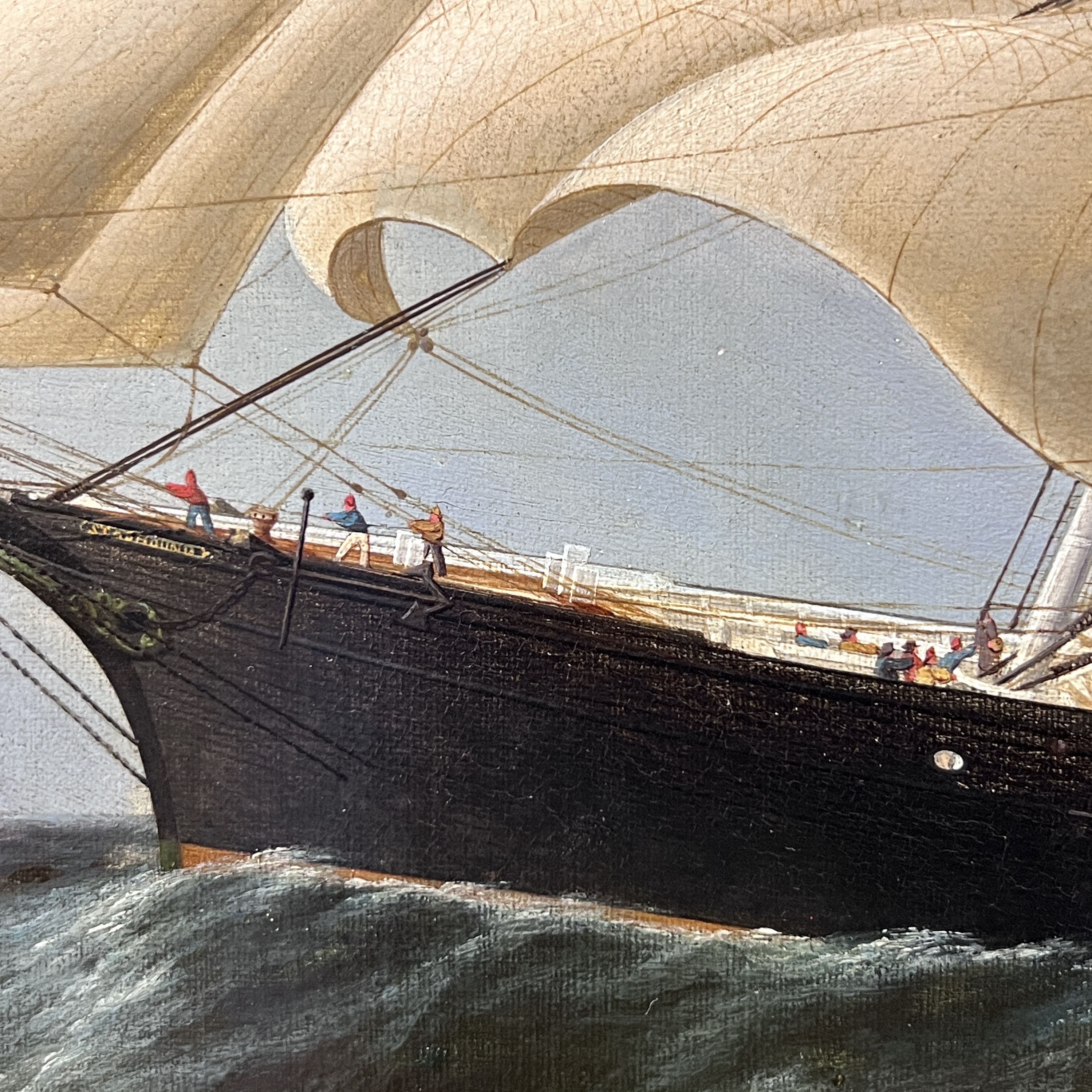 2023/06/05 object photographed in collection storage for database and social media purposes