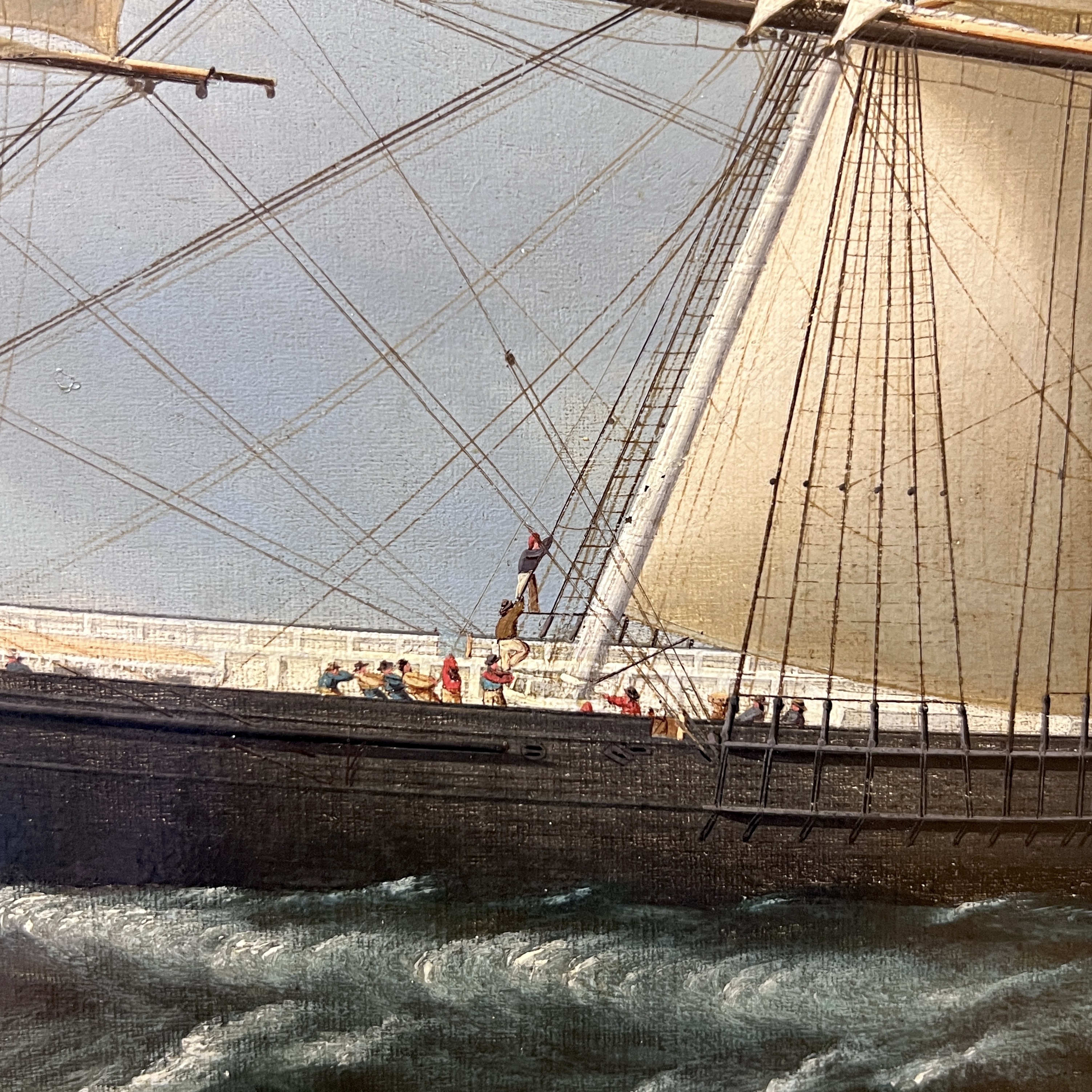 2023/06/05 object photographed in collection storage for database and social media purposes