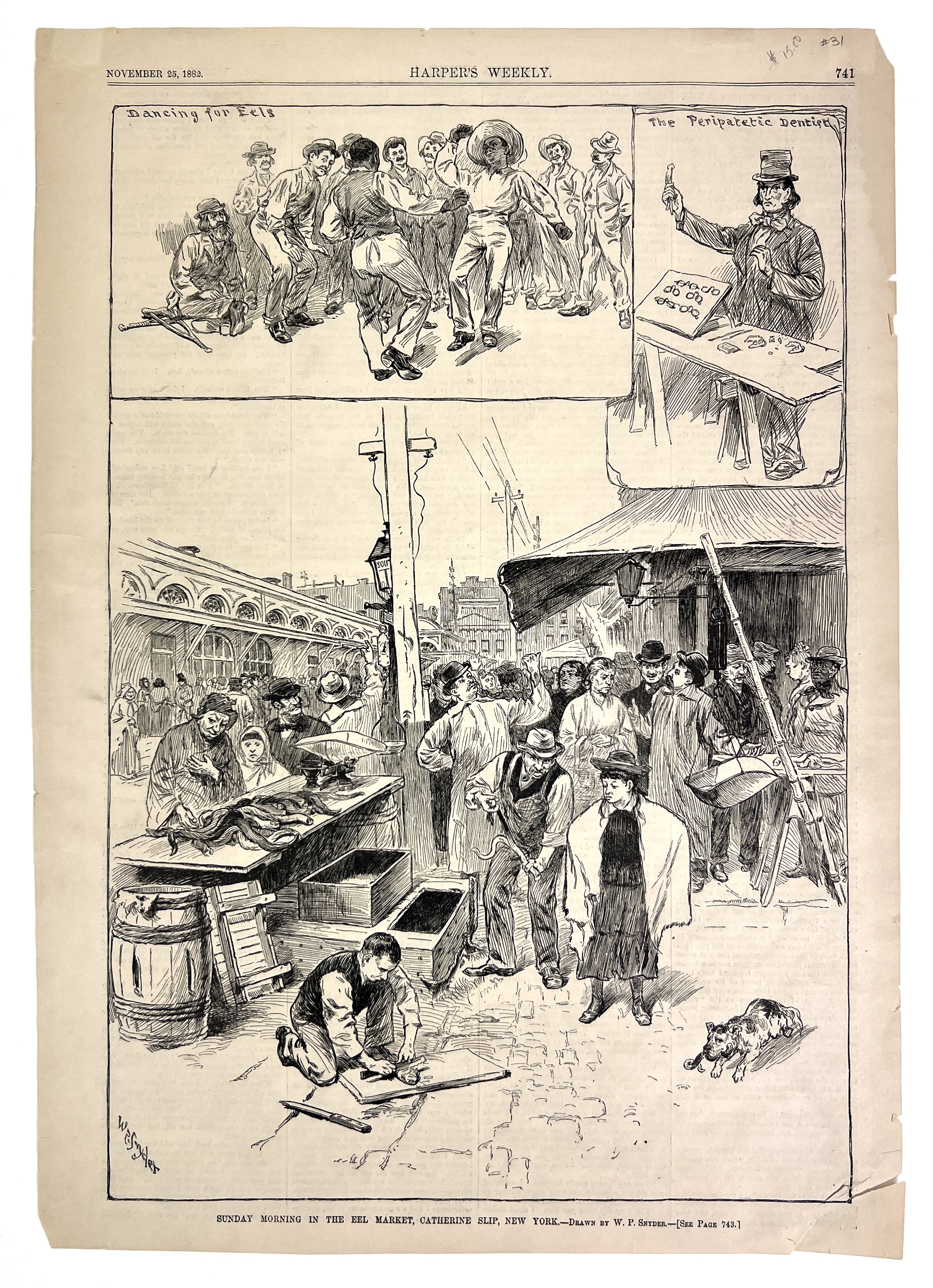 2023/06/22 object photographed in collection storage for database and social media purposes