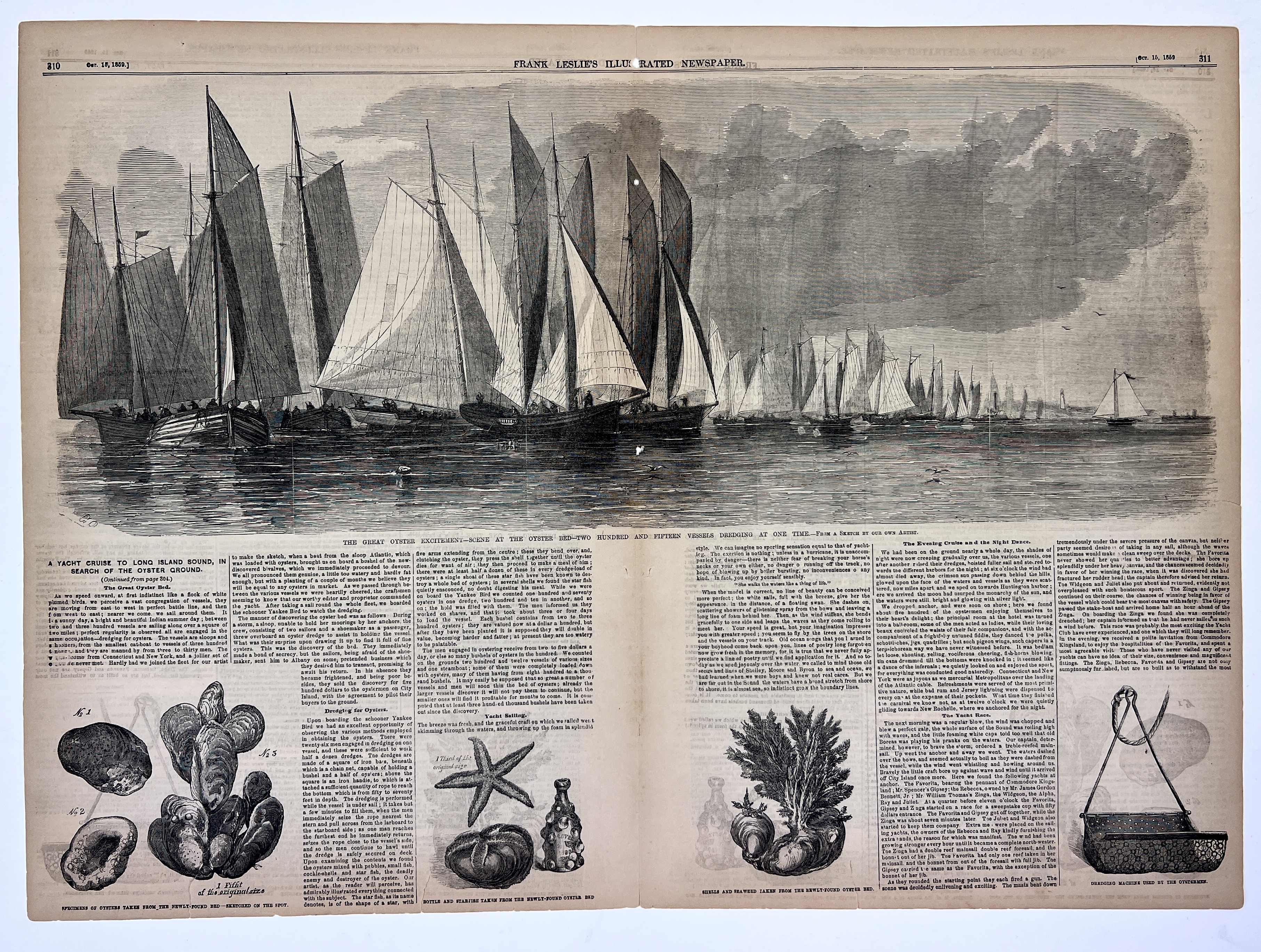 2023/06/23 image taken in collection storage for database