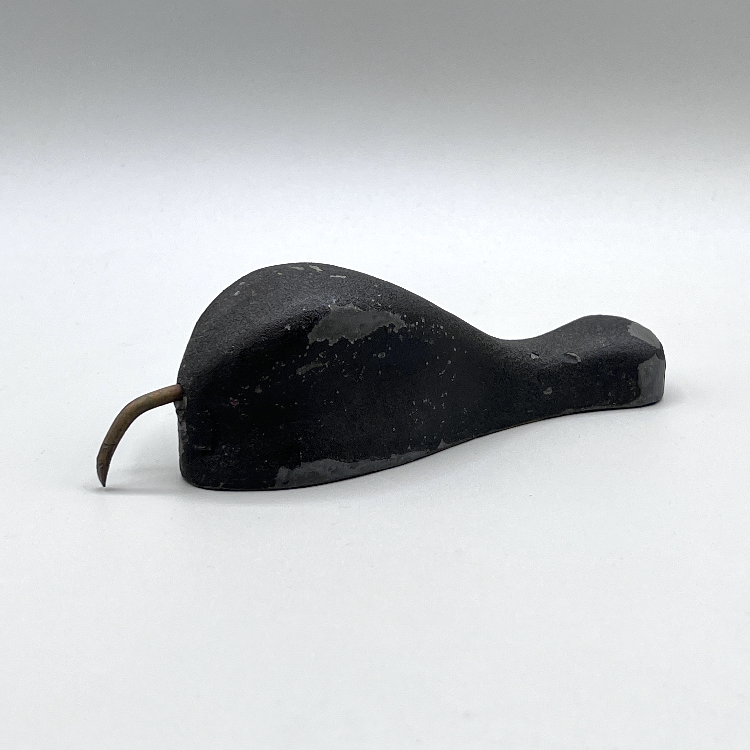 2023/08/14 object photographed in collection storage for database