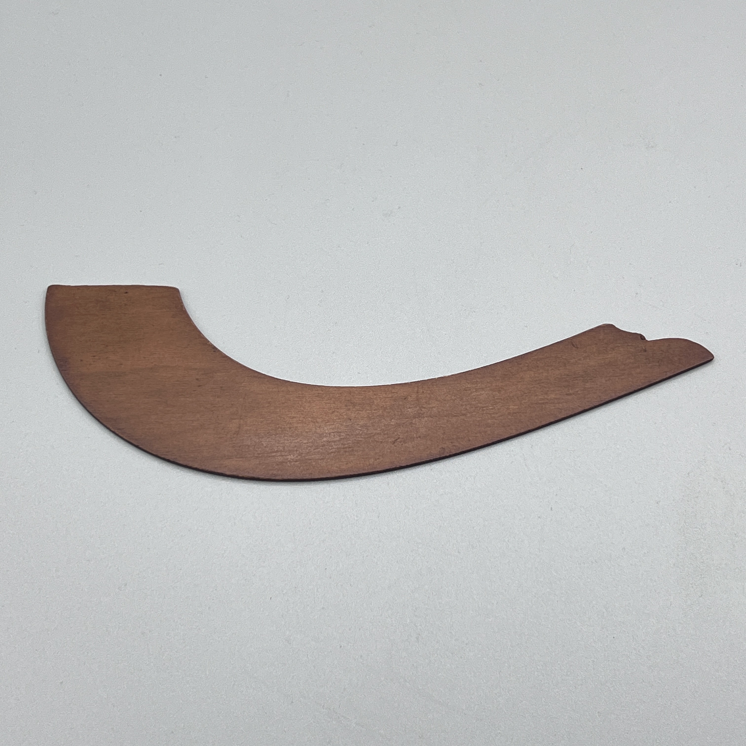 2023/08/14 object photographed in collection storage for database