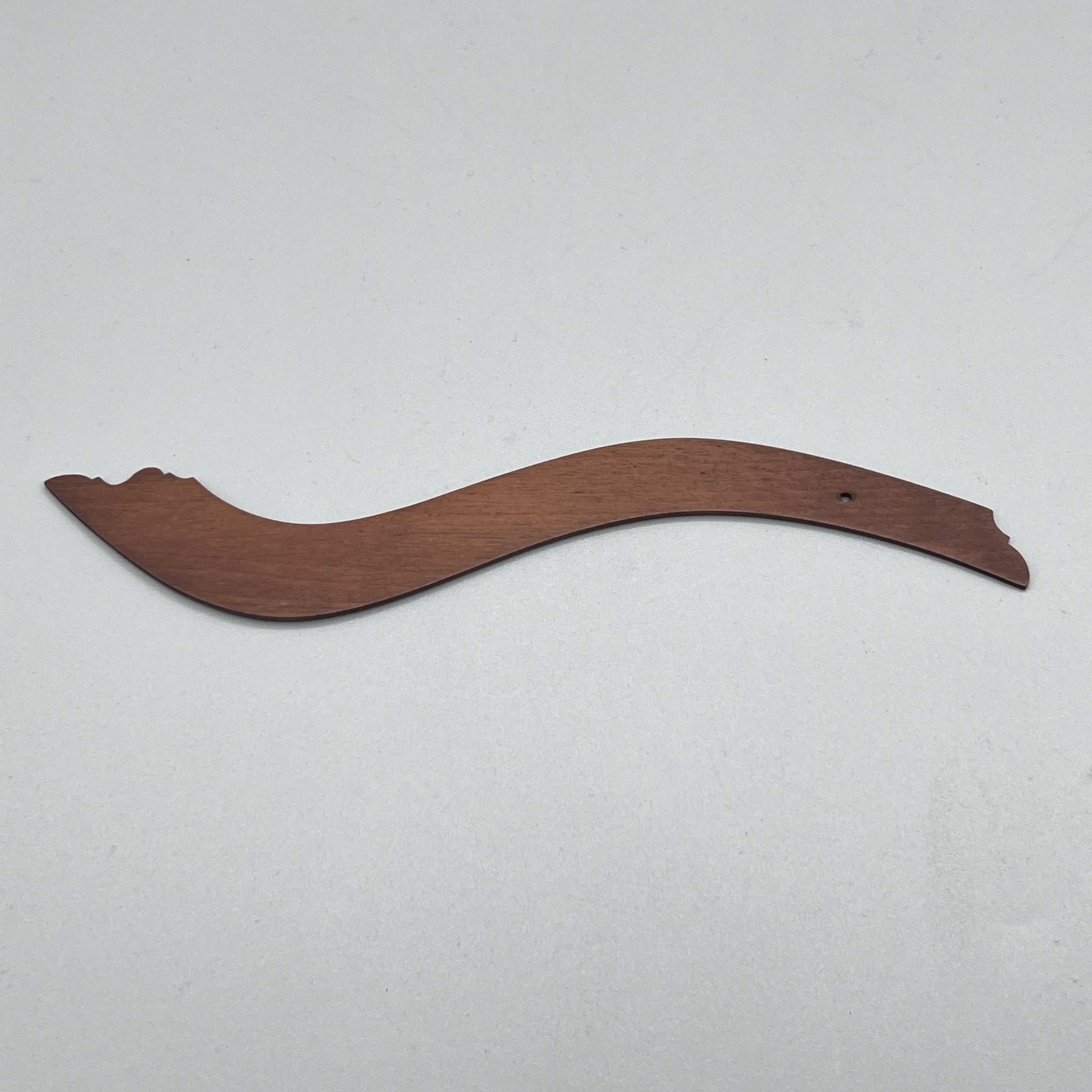 2023/08/14 object photographed in collection storage for database