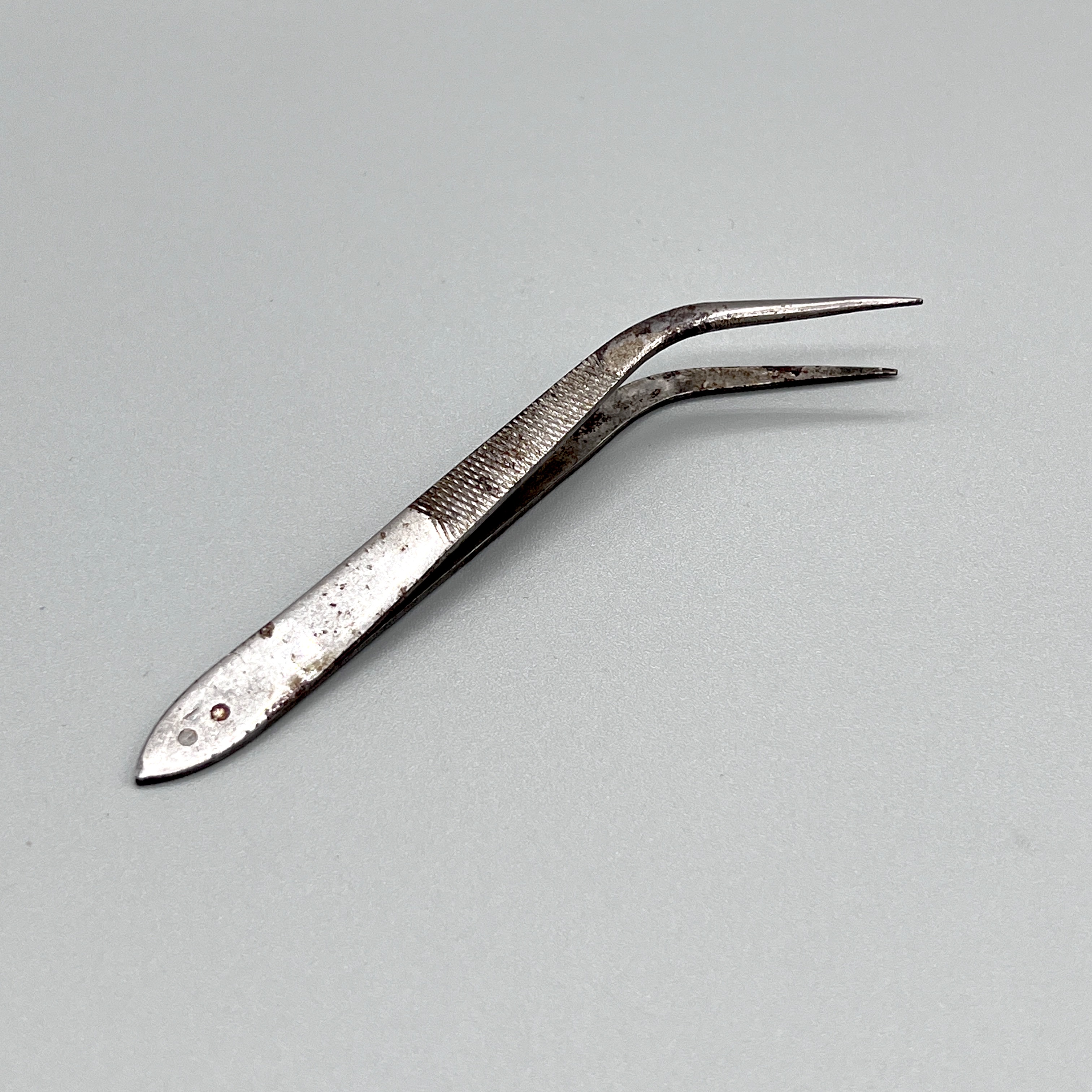 2023/09/11 object photographed in collection storage for database