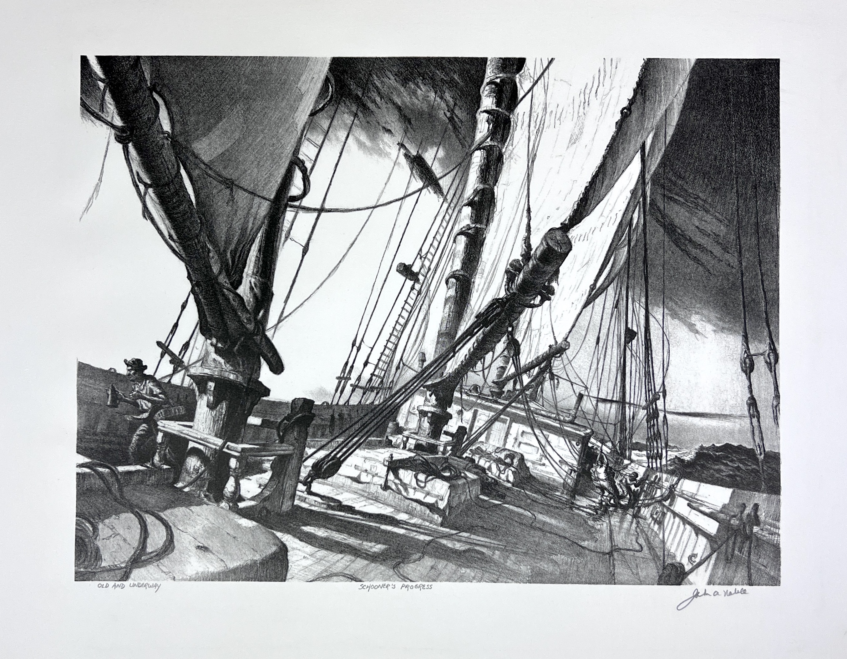 2023/09/25 object photographed in collection storage for database