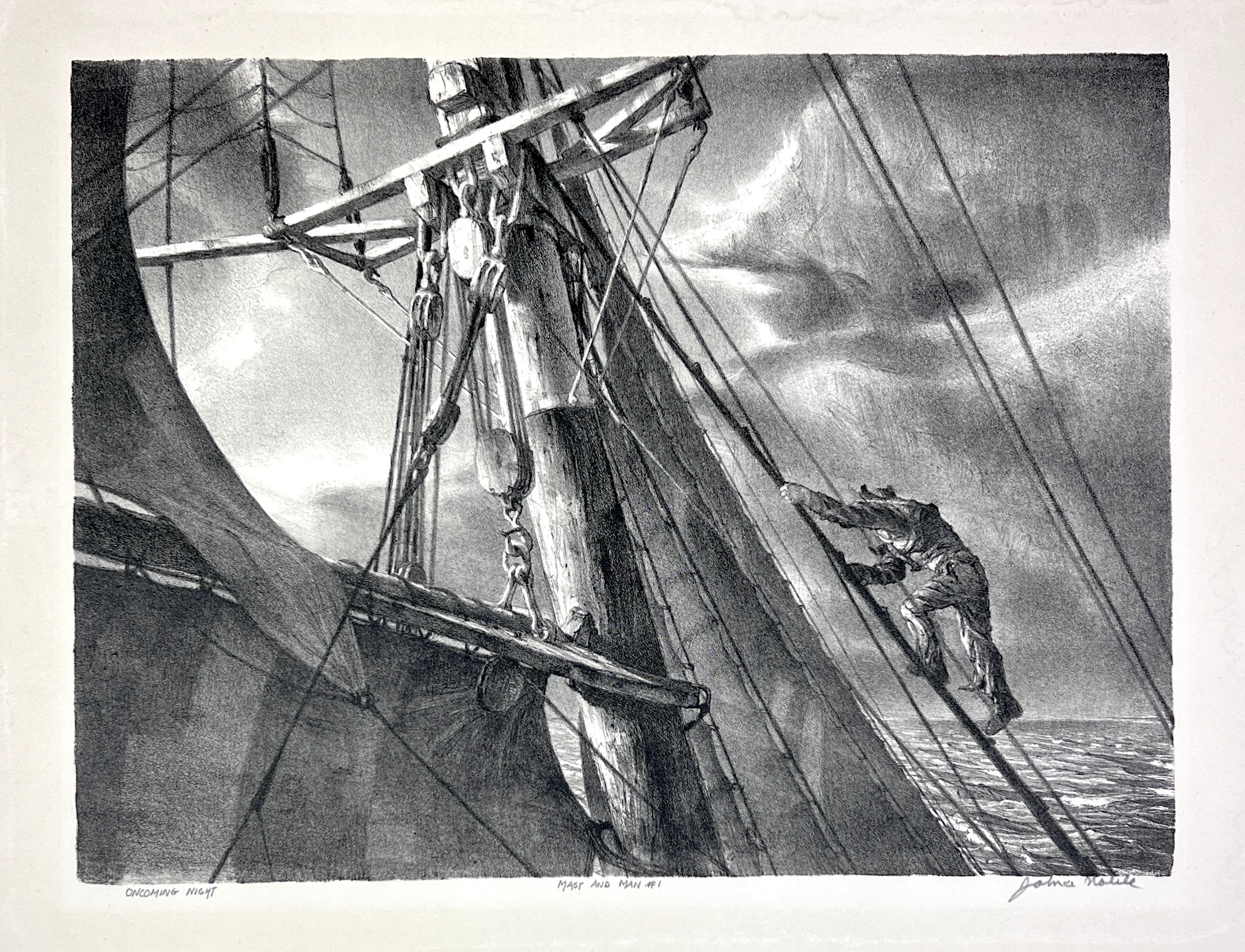 2023/09/28 object photographed in collection storage for database