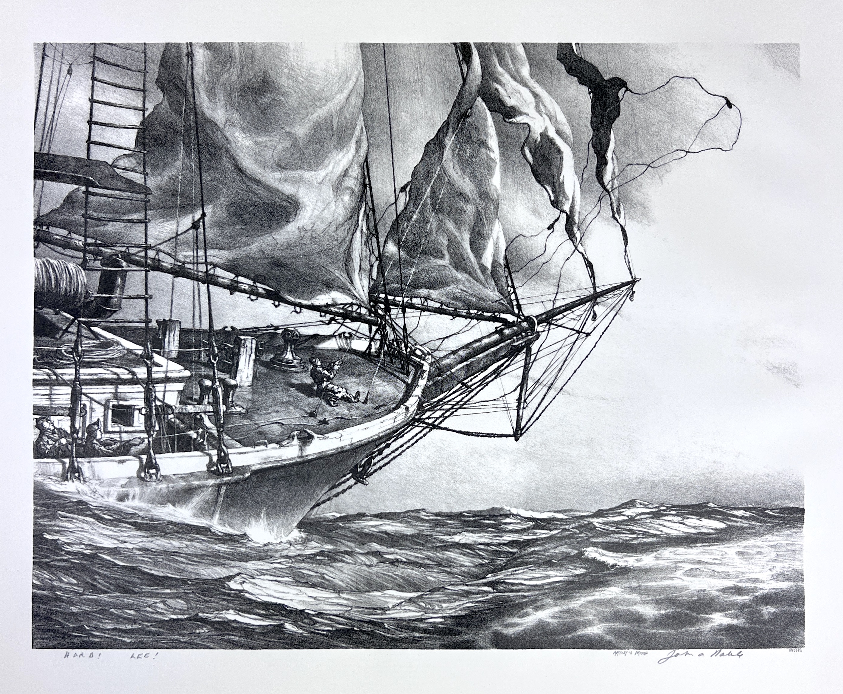 2023/10/02 object photographed in collection storage for database