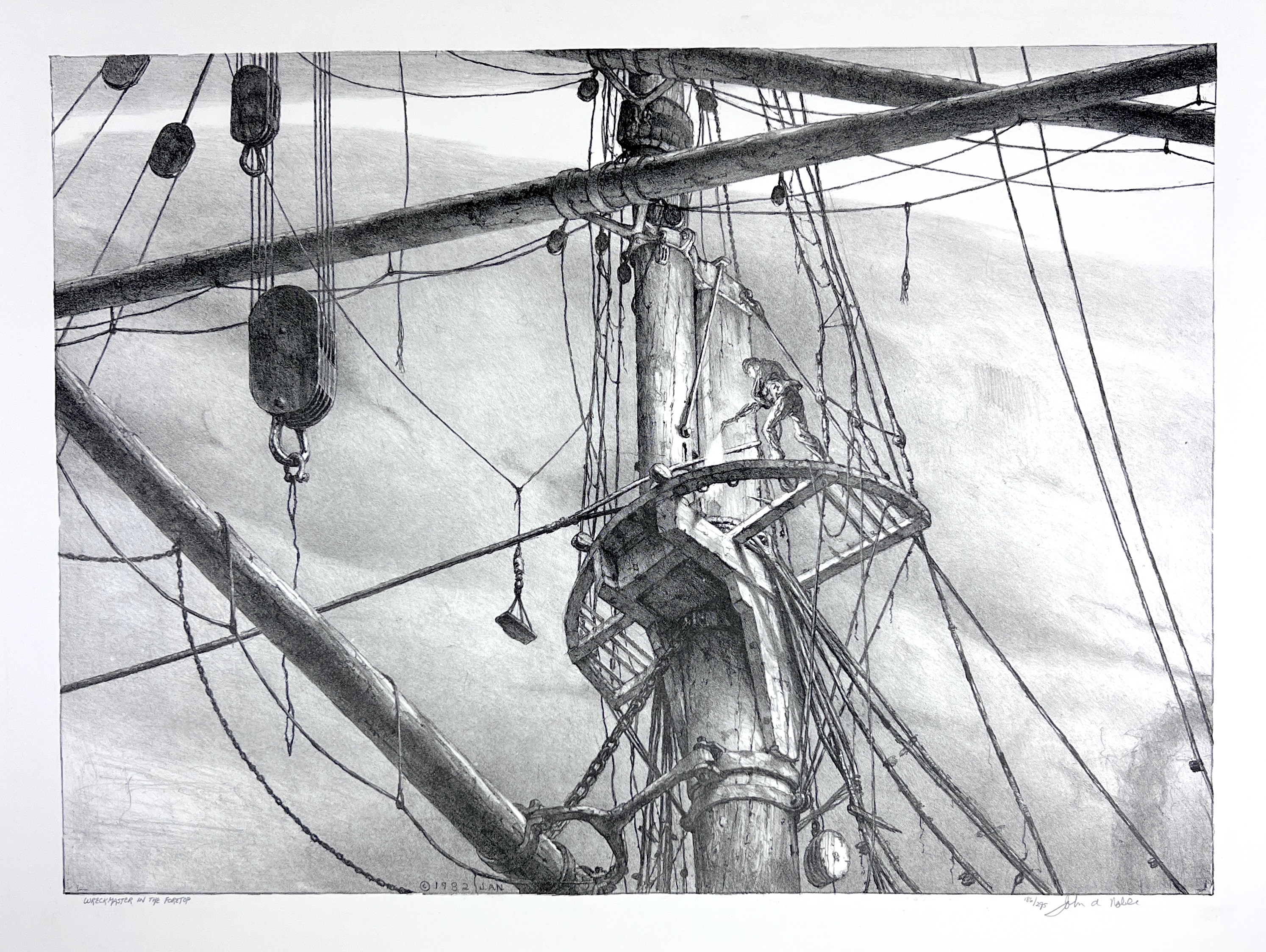 2023/10/12 object photographed in collection storage for database