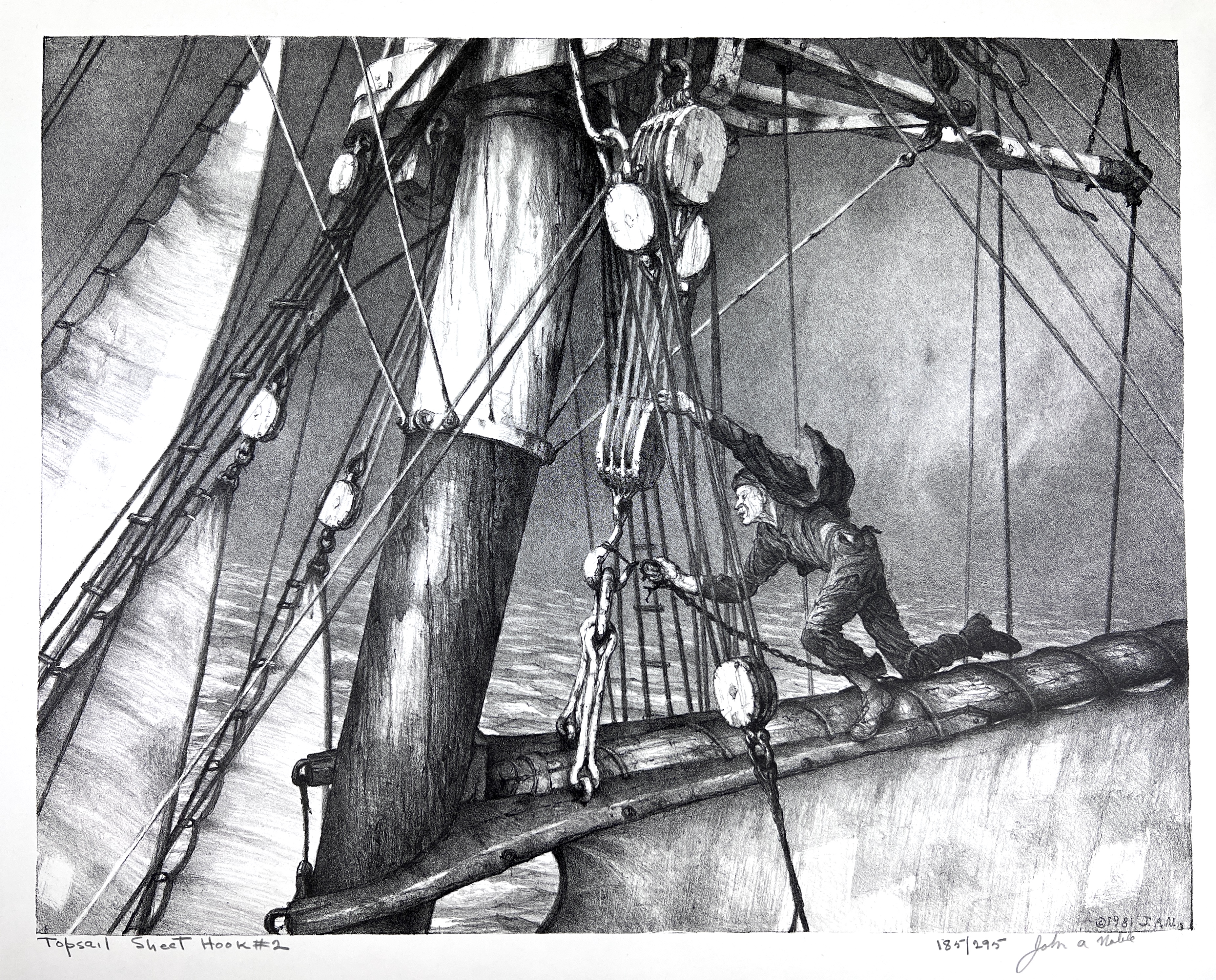 2023/10/19 object photographed in collection storage for database