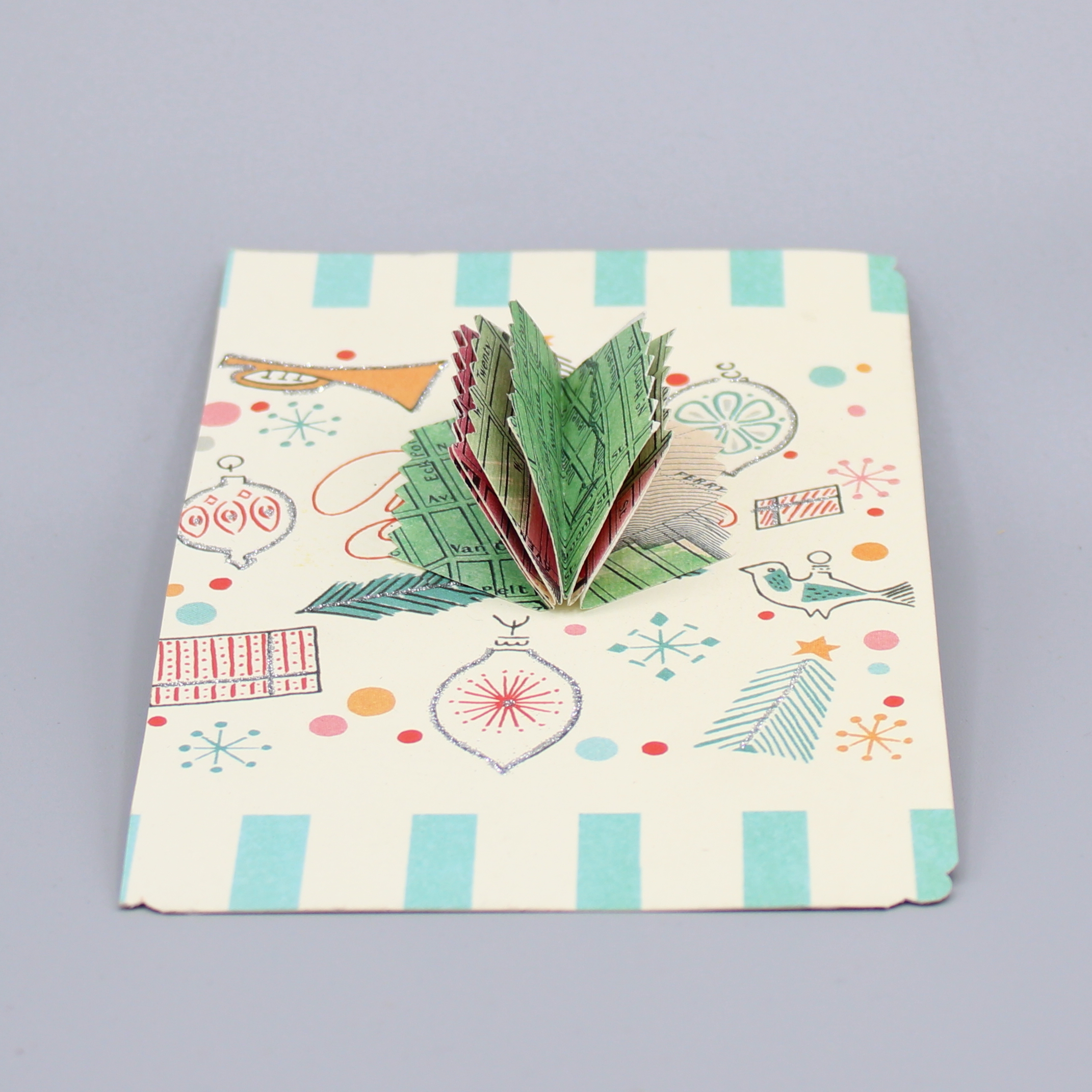 2023/11/17 image taken in collection storage for database, recto side 1