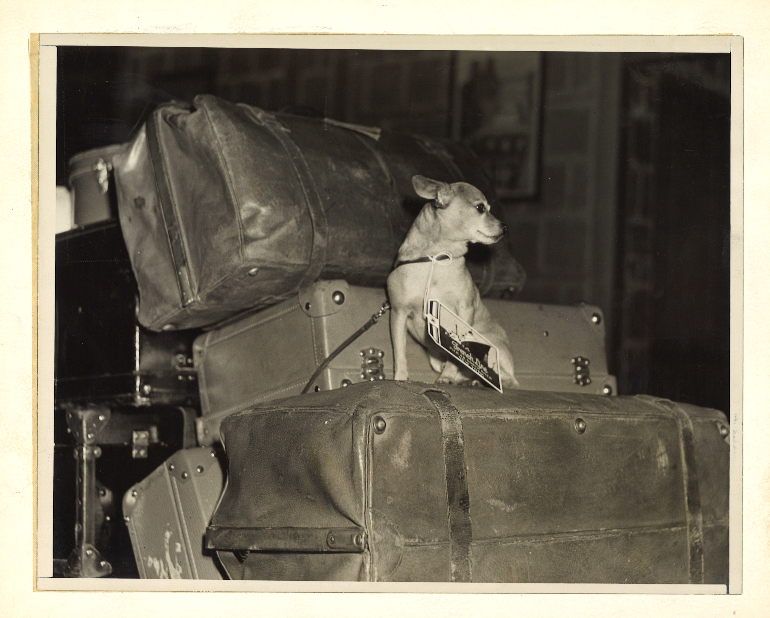 scanned for database, front