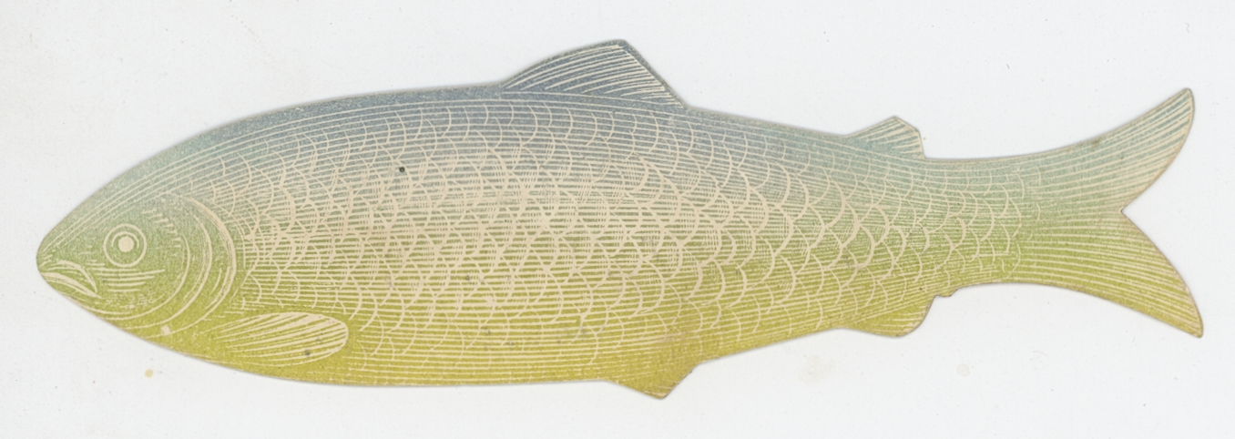 2023/12/26 object scanned in office for database