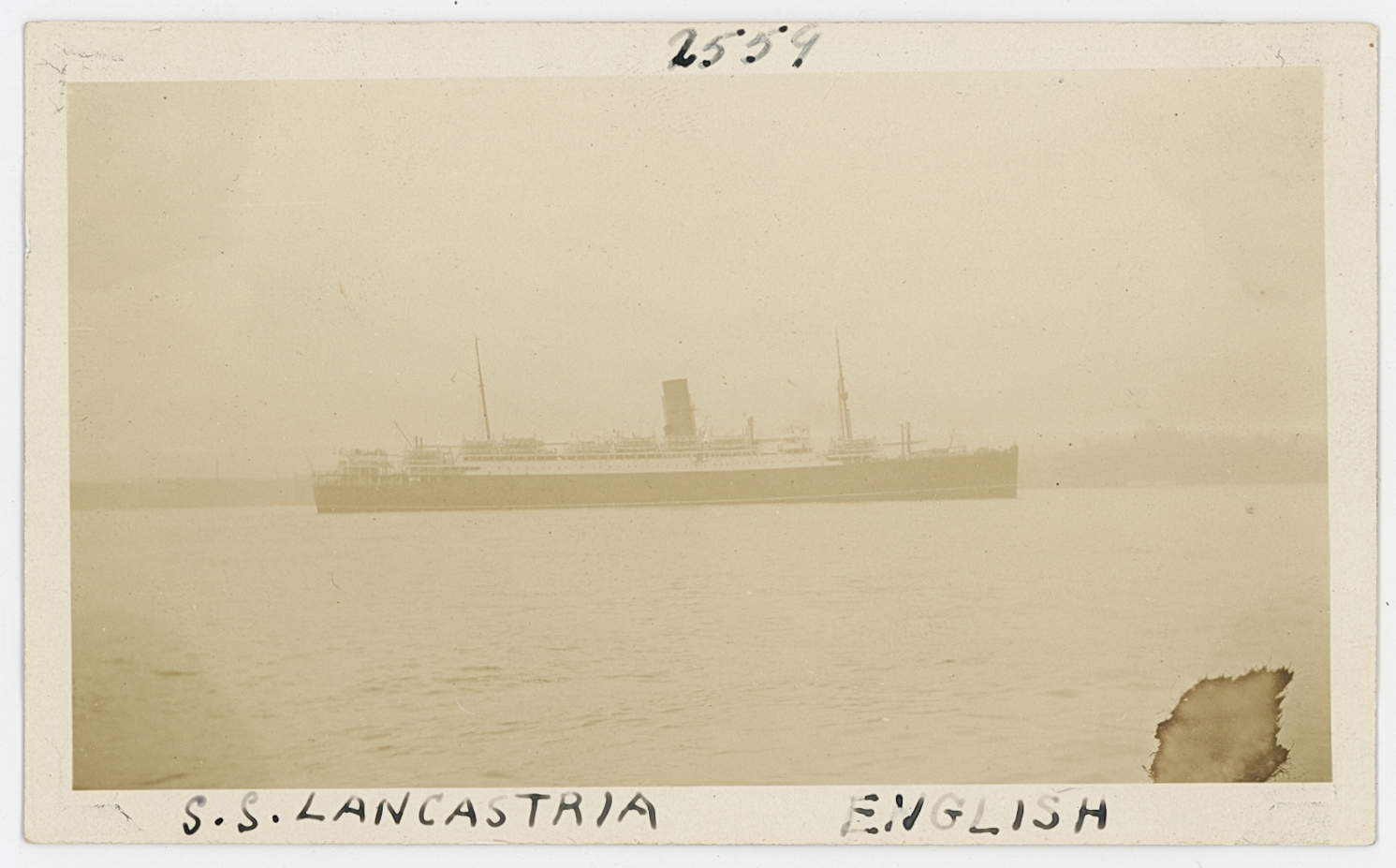 2024/01/31 scan in the office for database