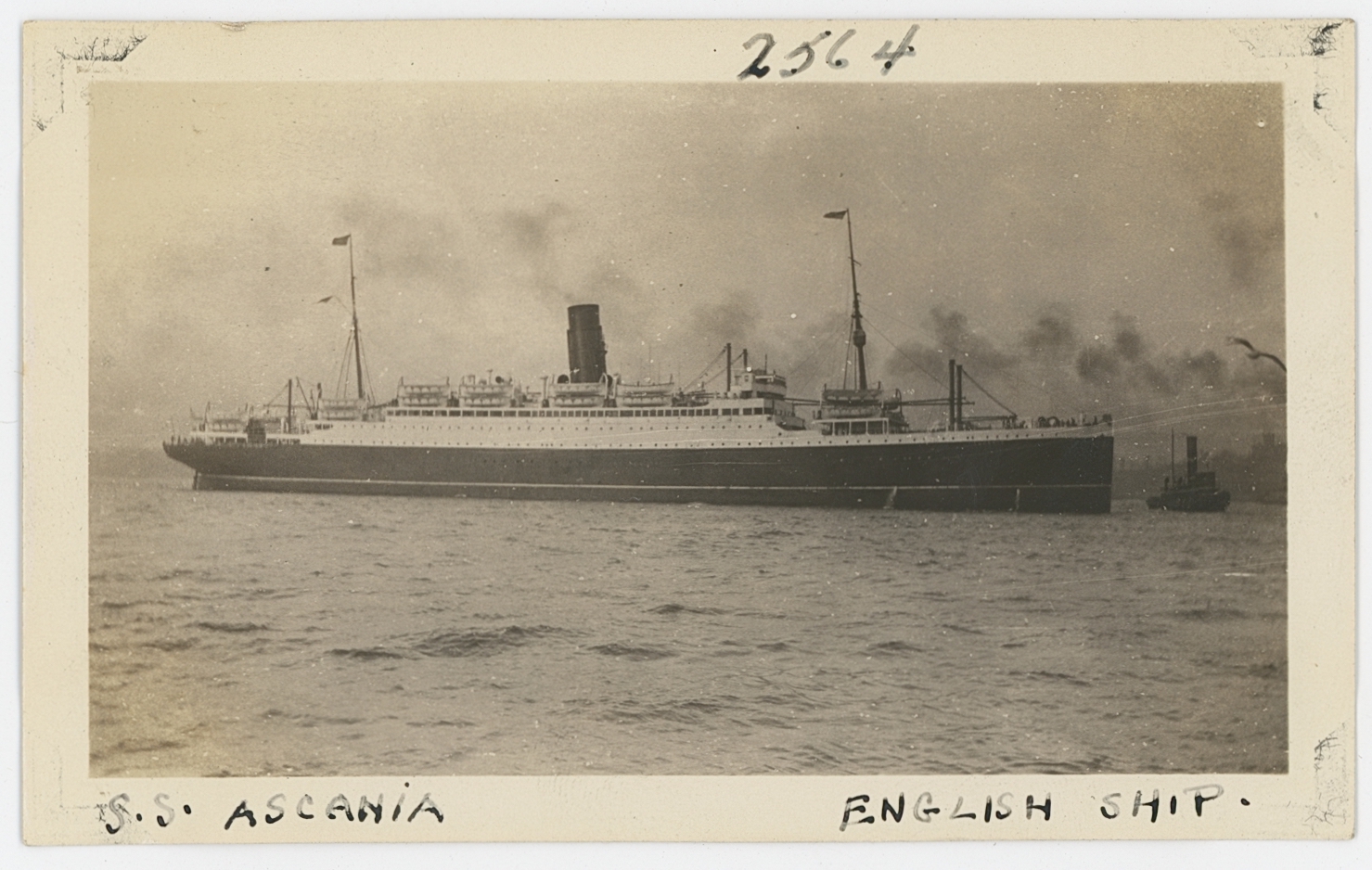 2024/01/31 scan in office for database