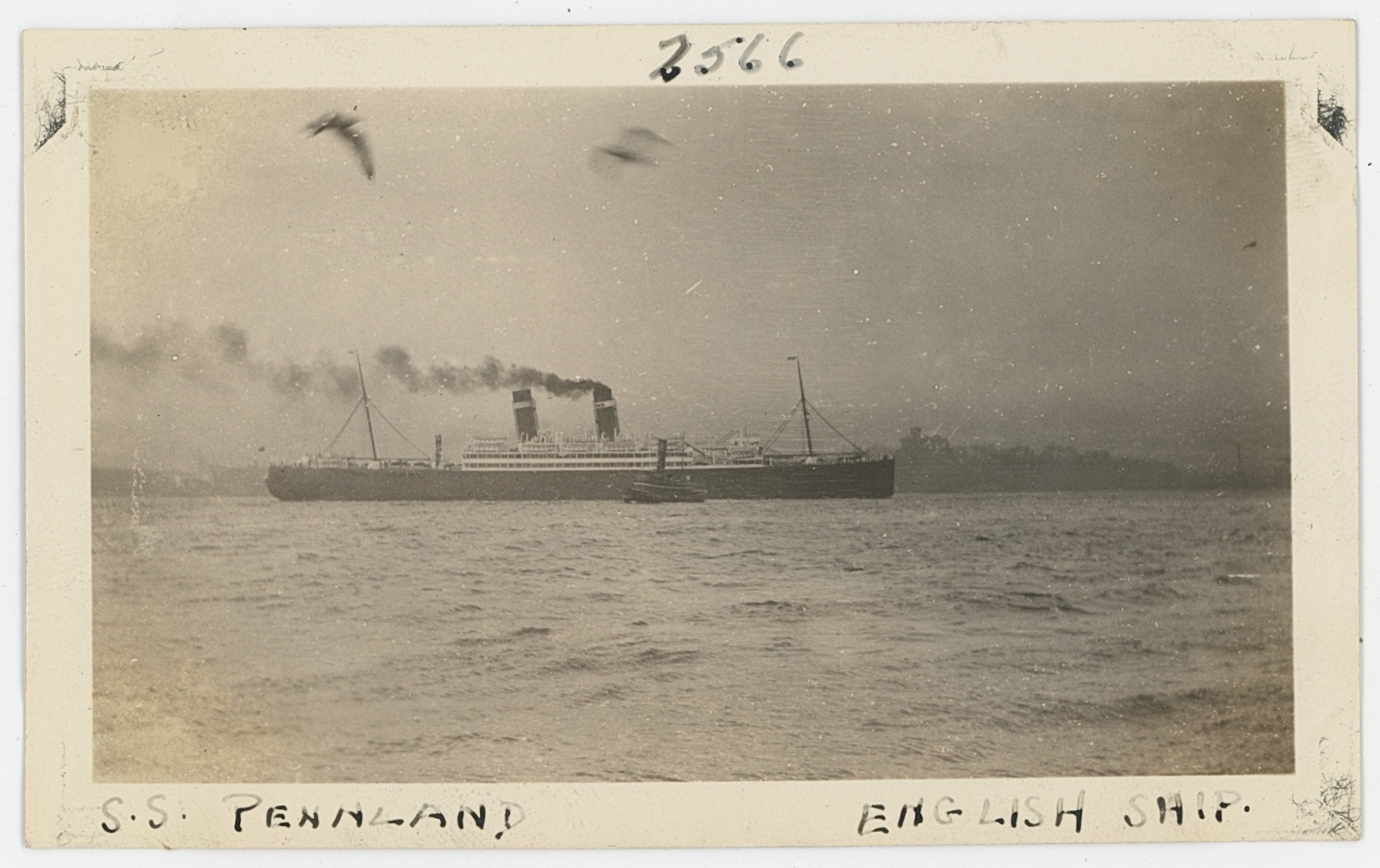 2024/01/31 scan in office for database