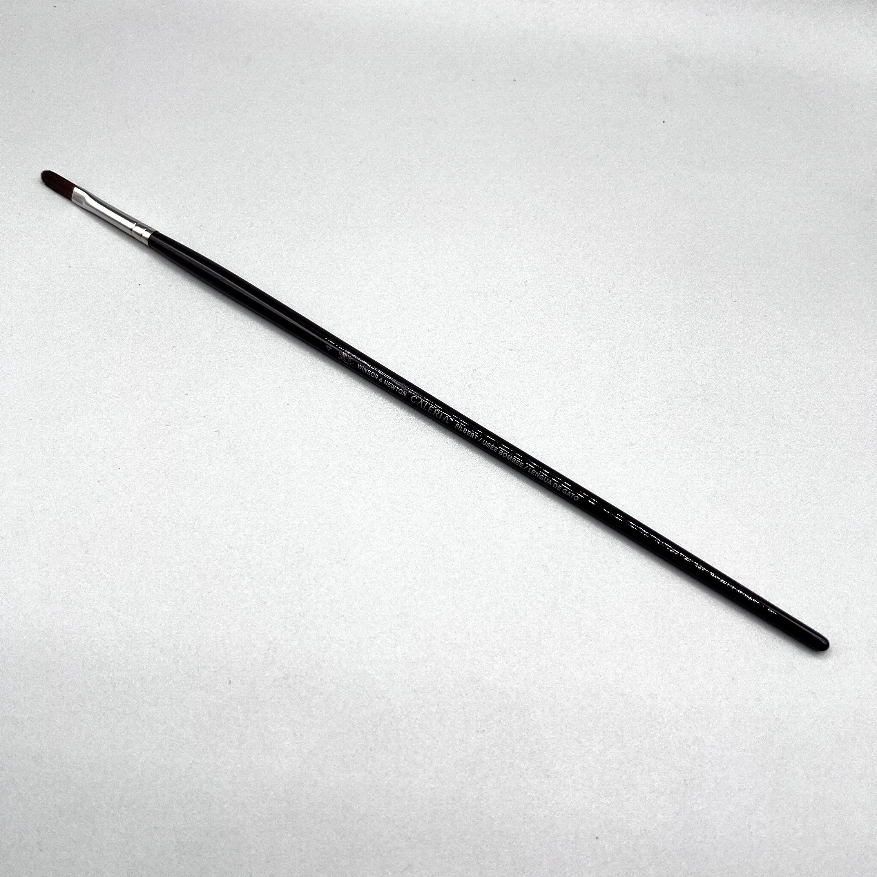 2024/04/08 object photographed in collection storage for database